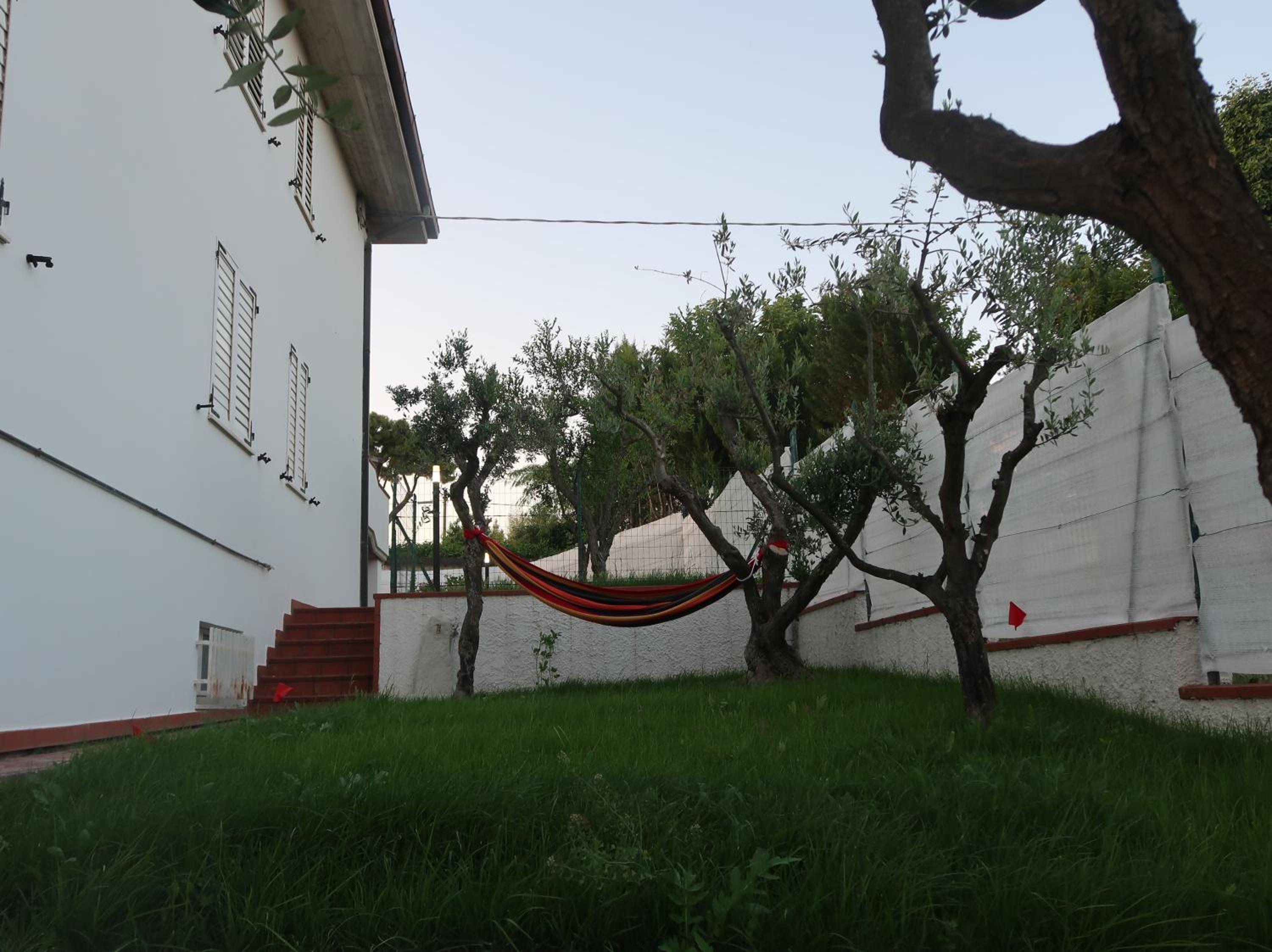 Photo 46