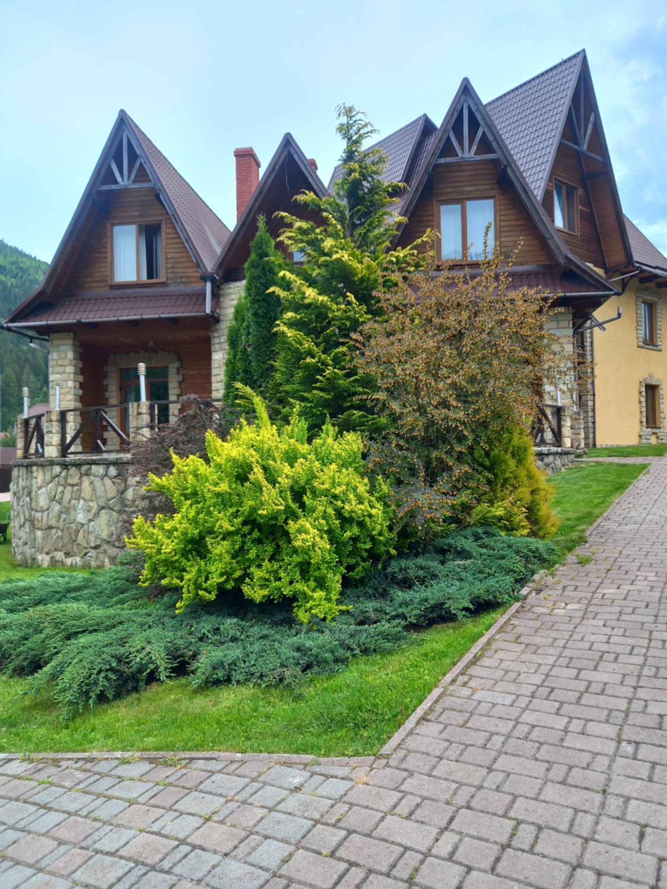 Photo 6