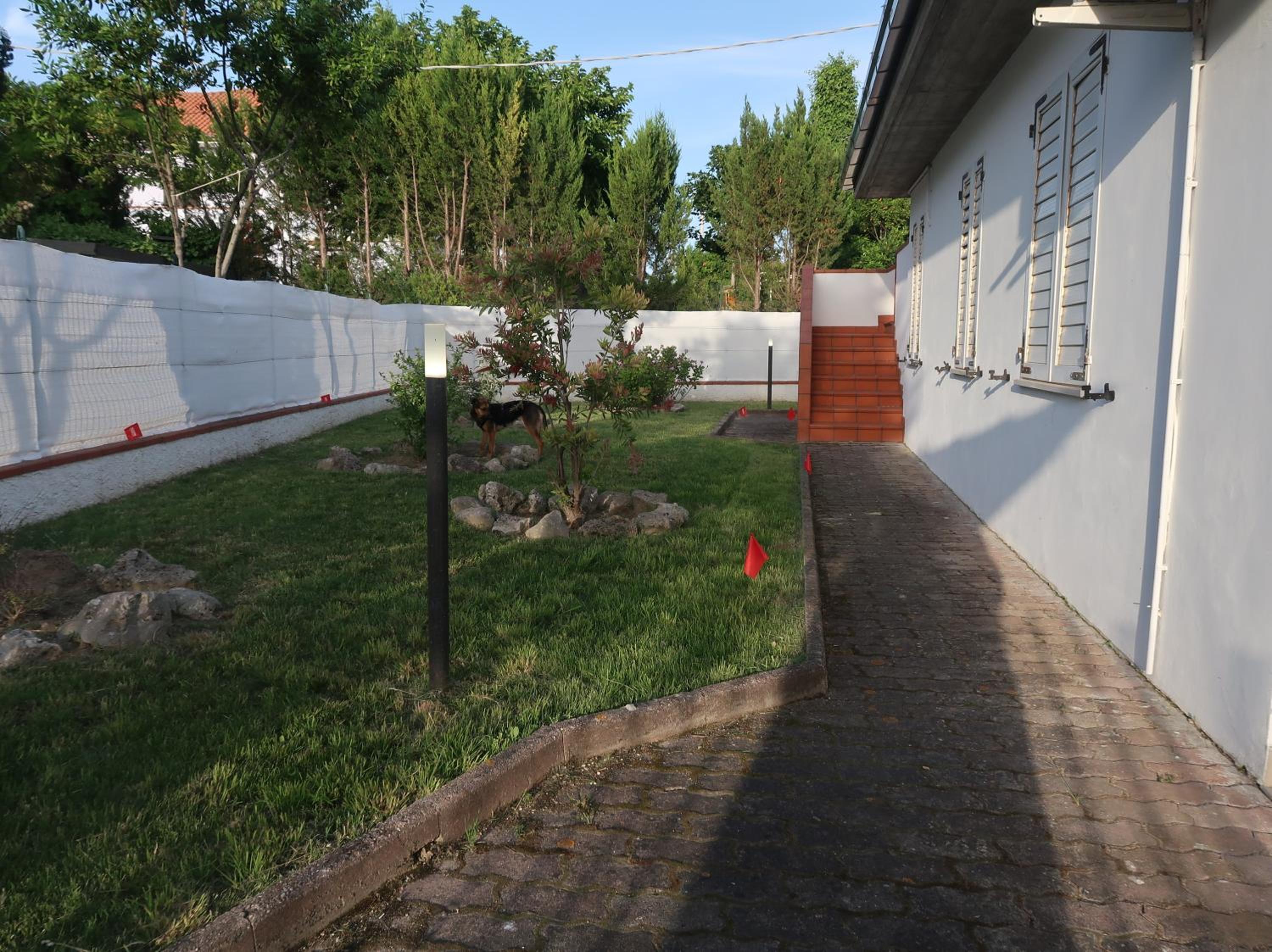 Photo 50