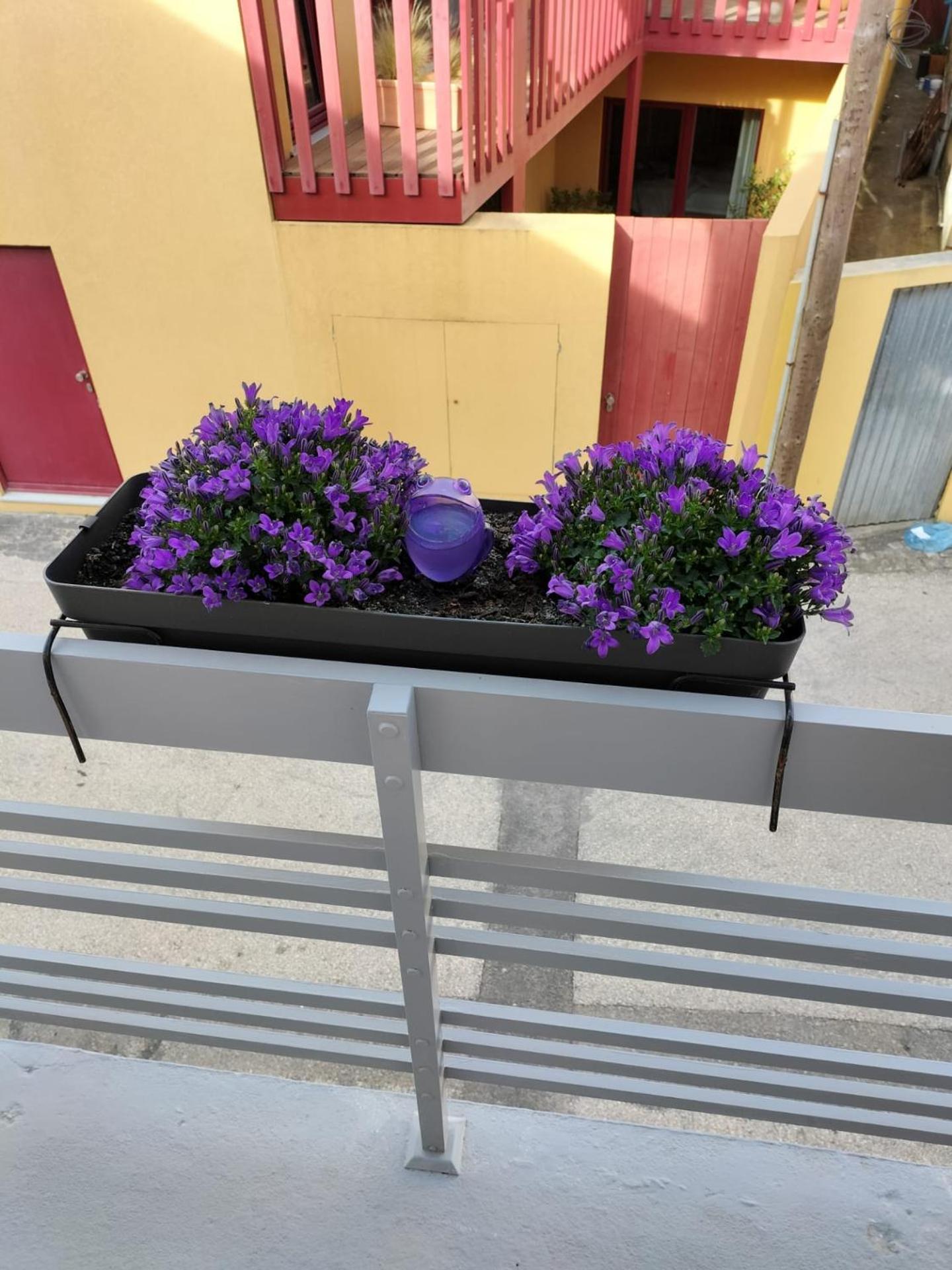 The Violet House view 5