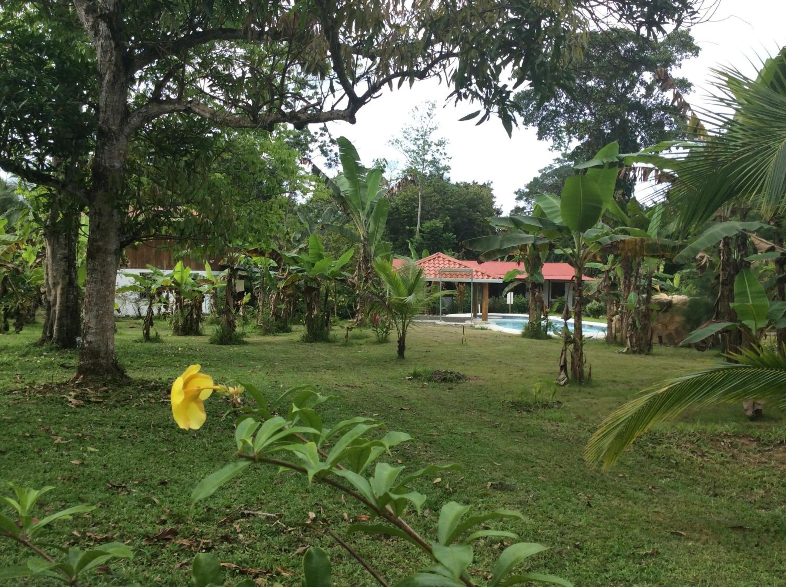 Cabinas Los Tucanes