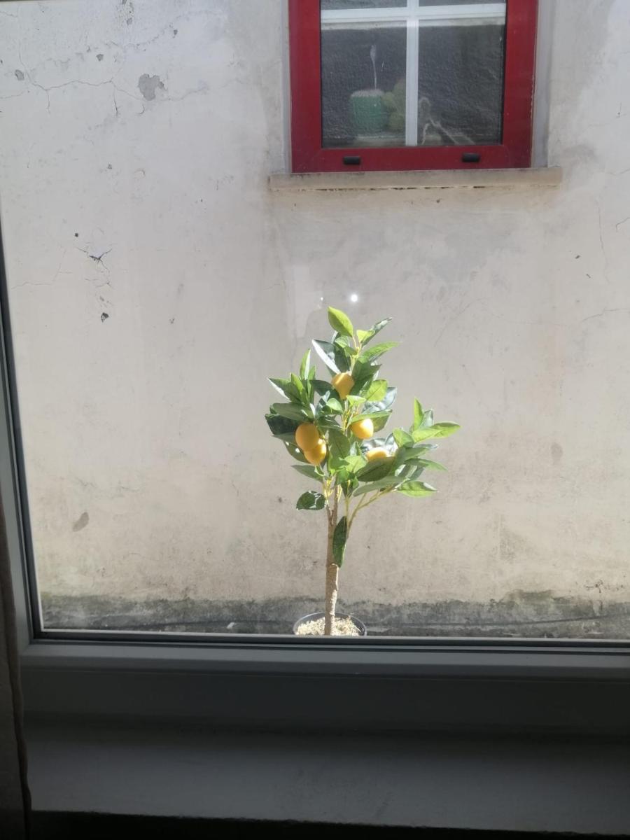Photo 42