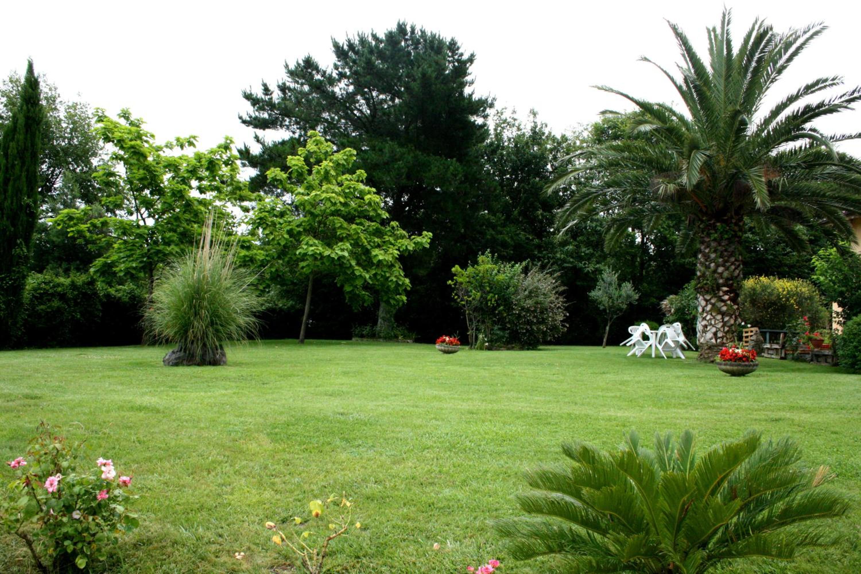 Photo 36