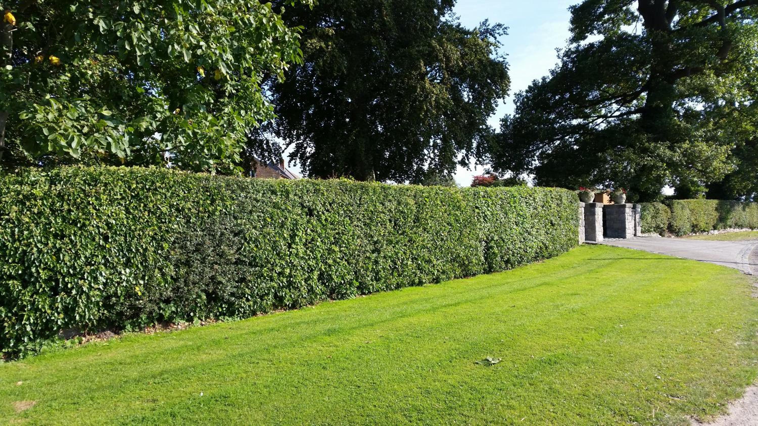 Photo 10