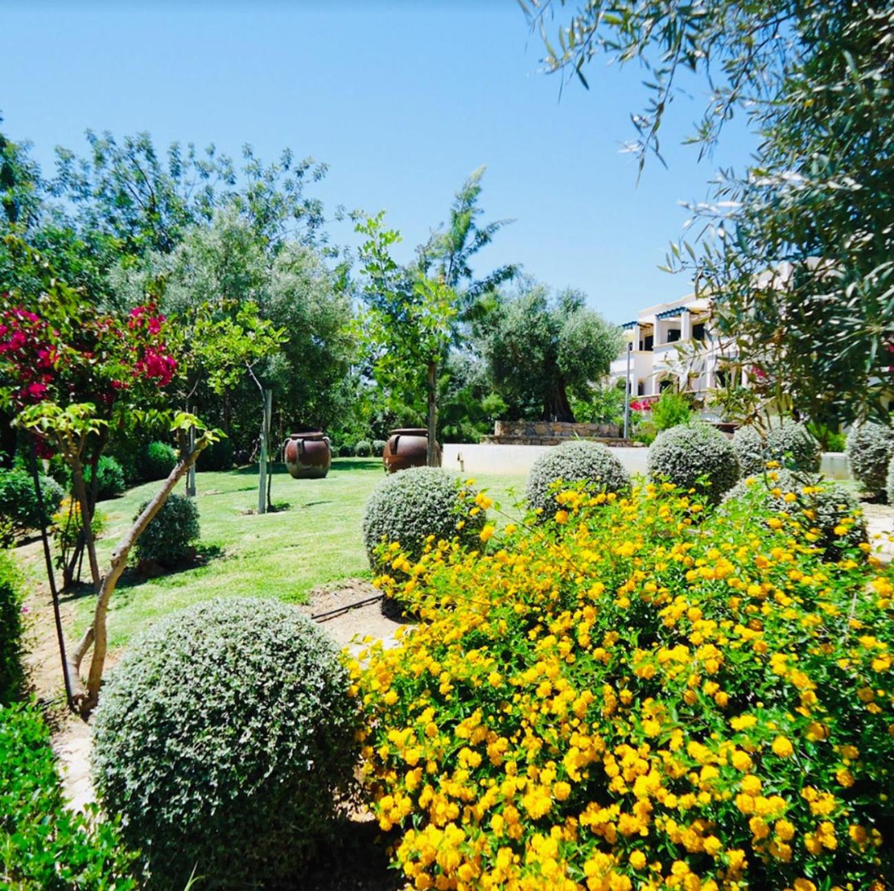 Photo 19