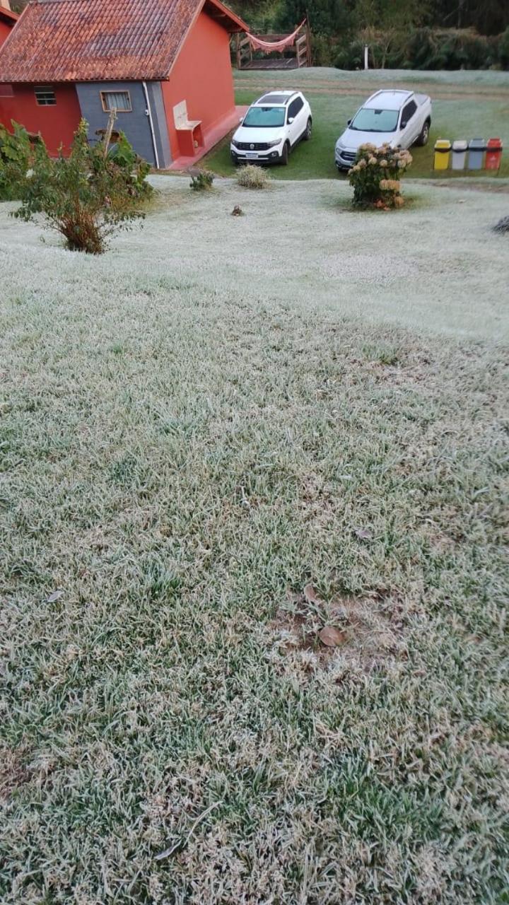 Photo 42
