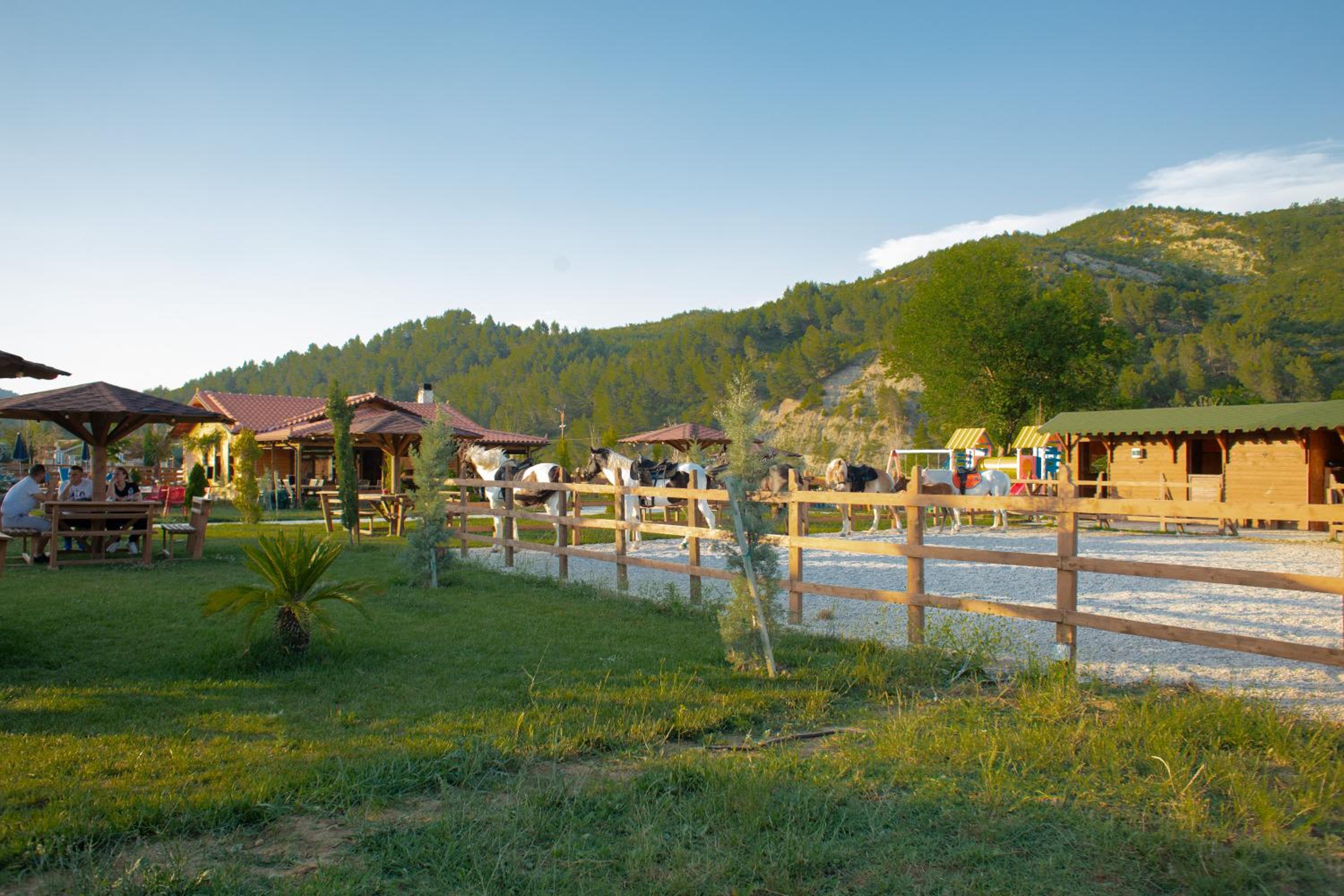 Sancho Farm Albania