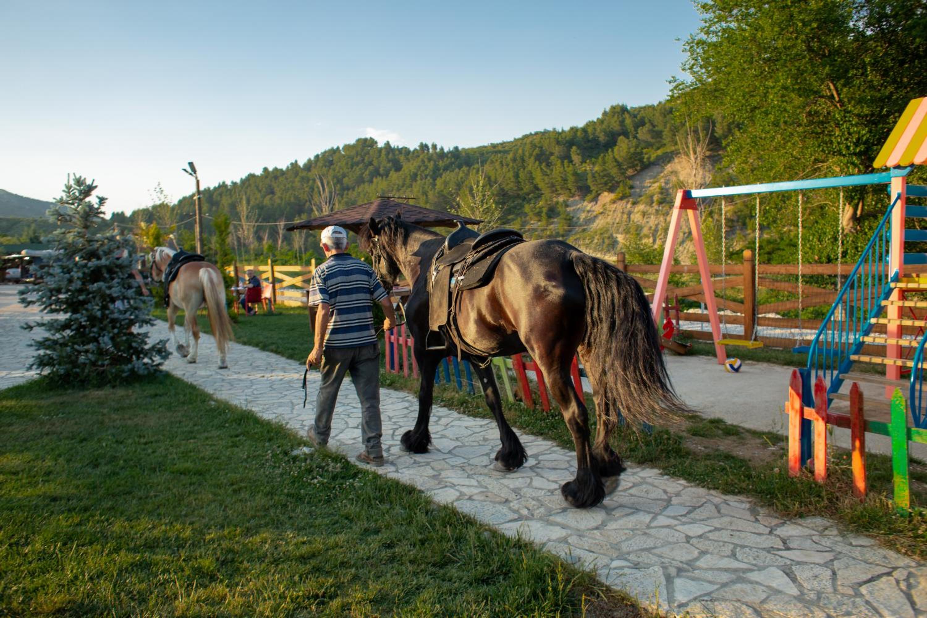 Sancho Farm Albania