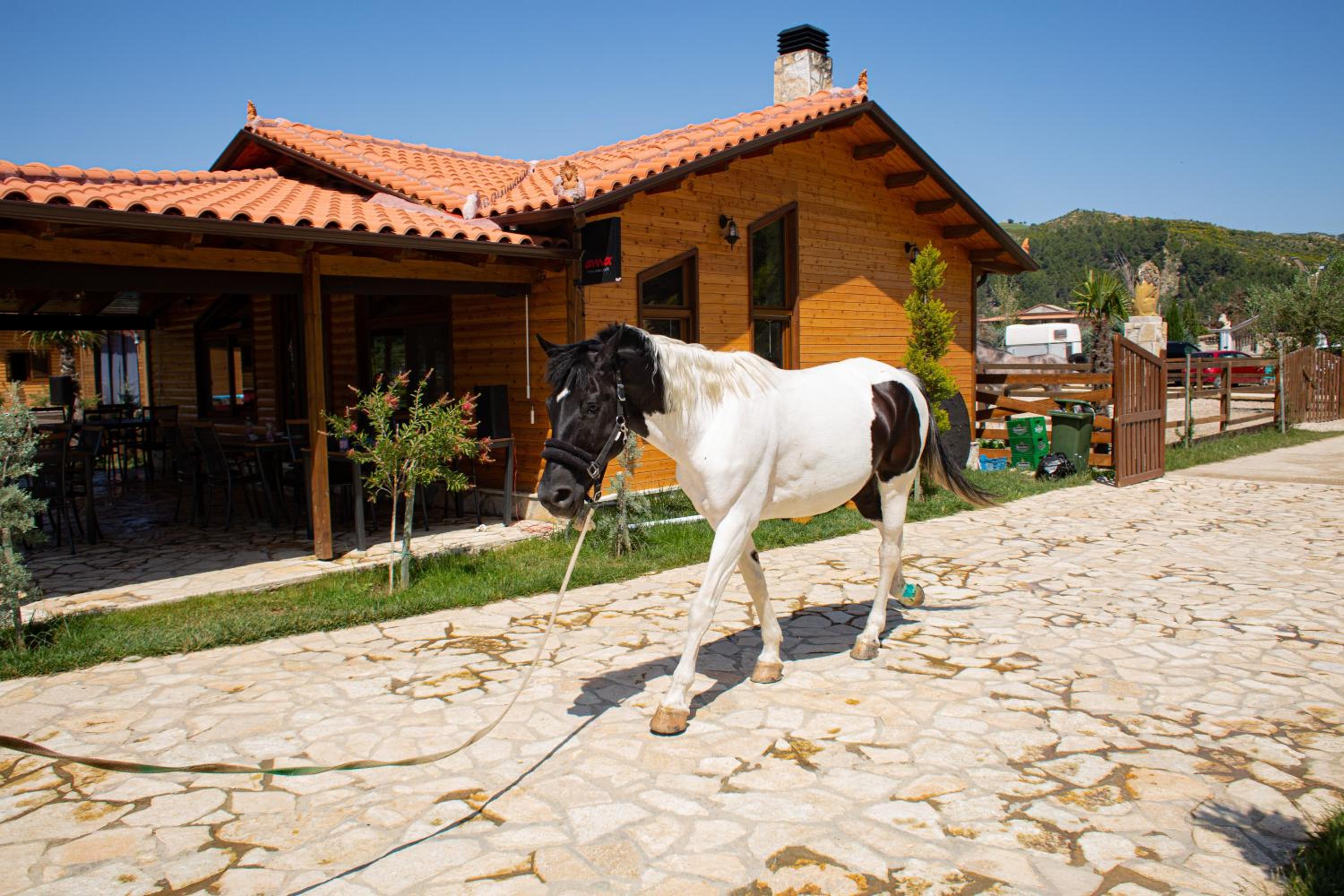 Sancho Farm Albania