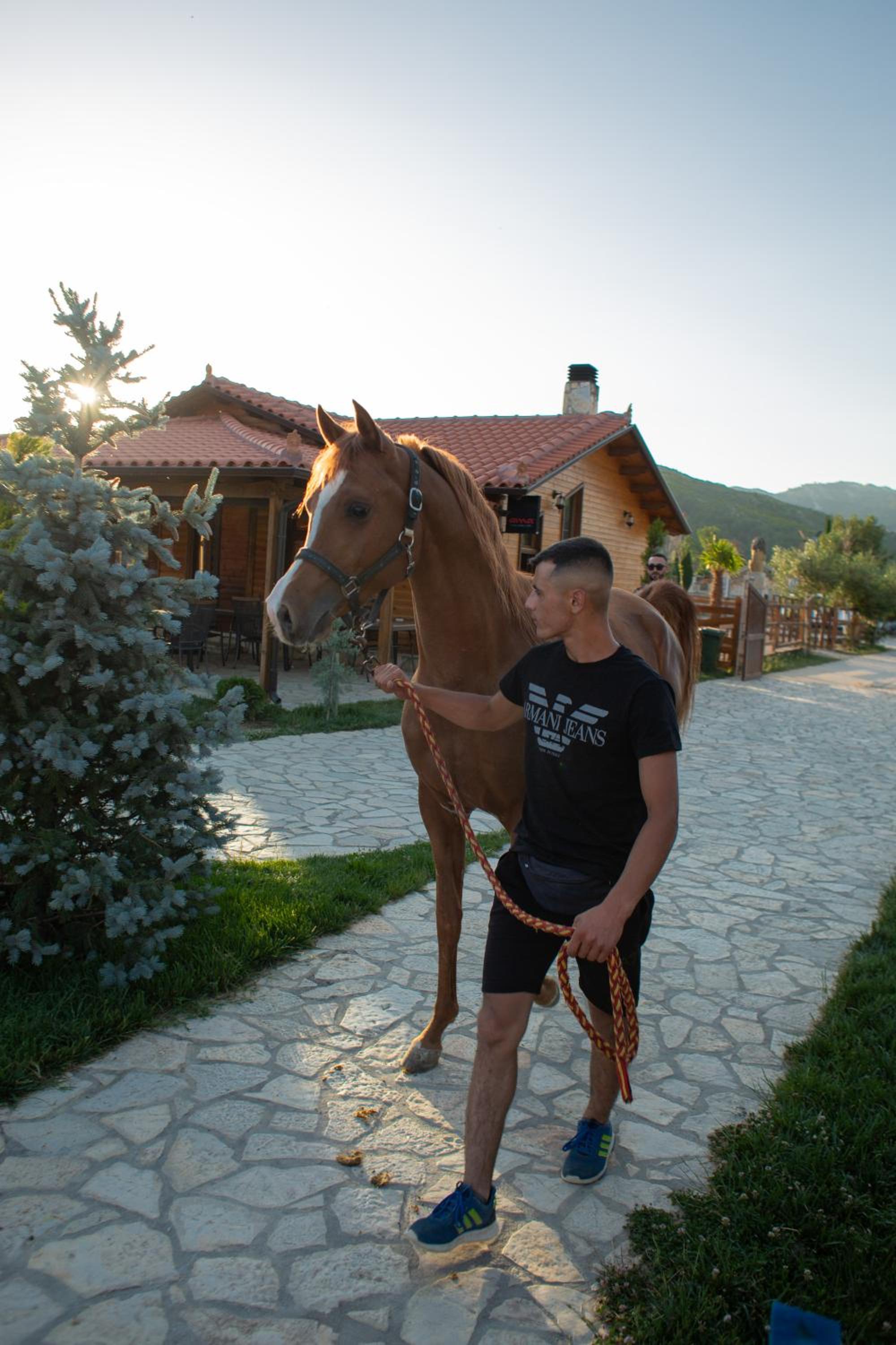 Sancho Farm Albania