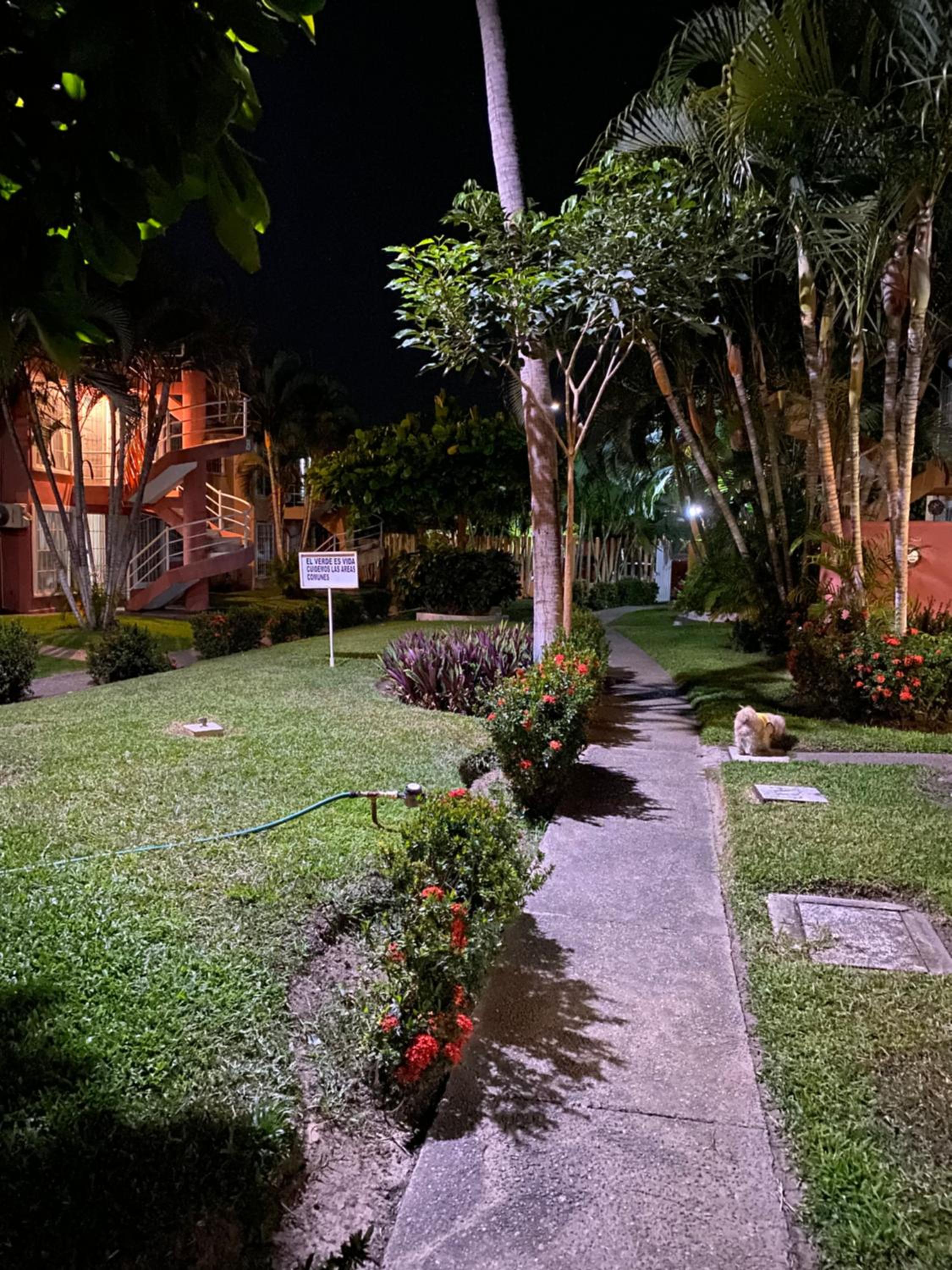 Photo 13