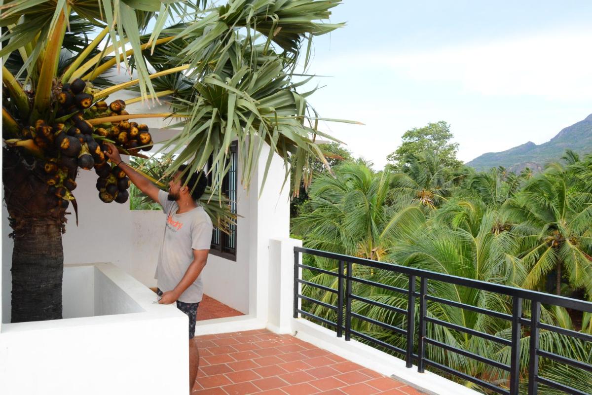 ClayNest Resorts view 4