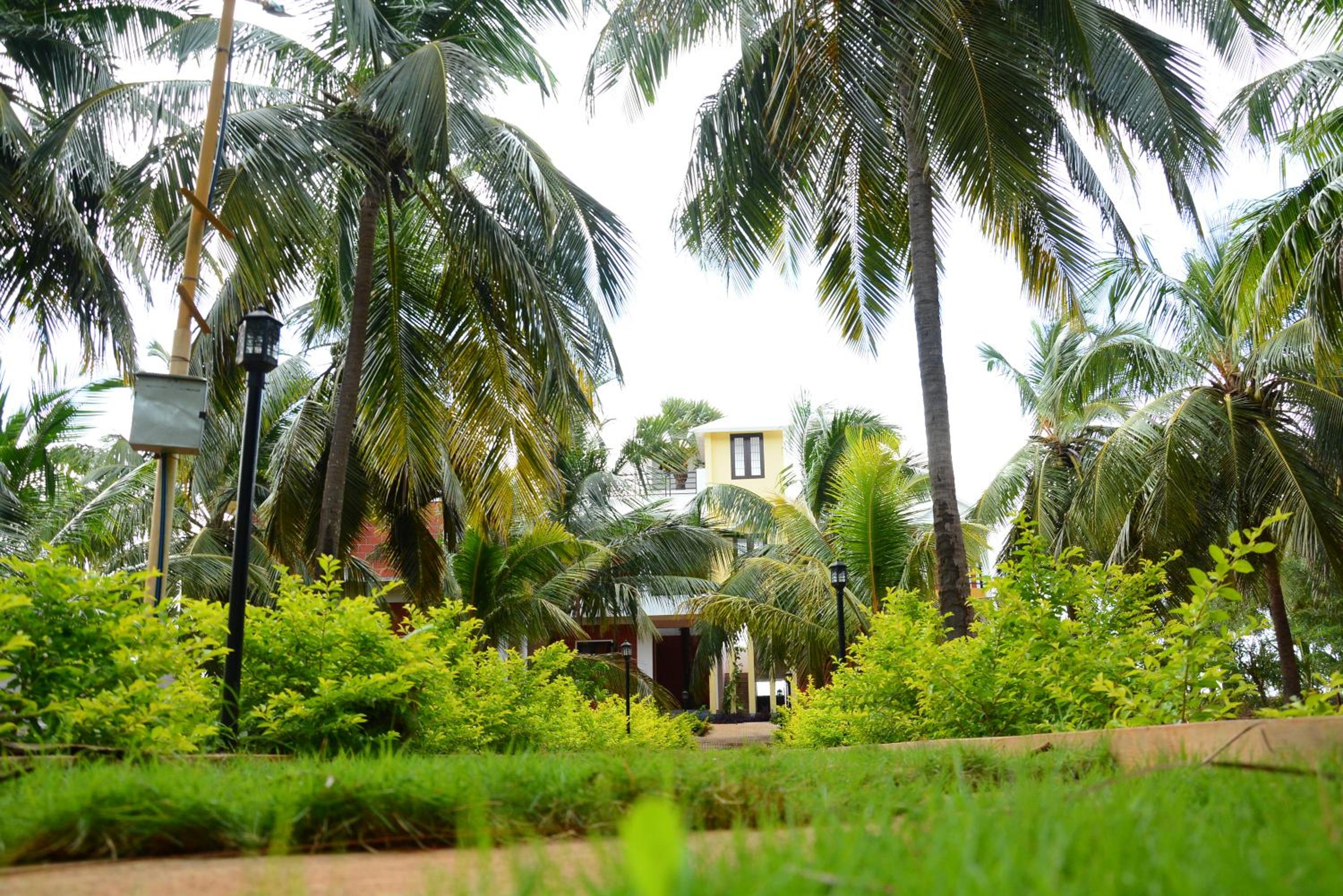 ClayNest Resorts view 5