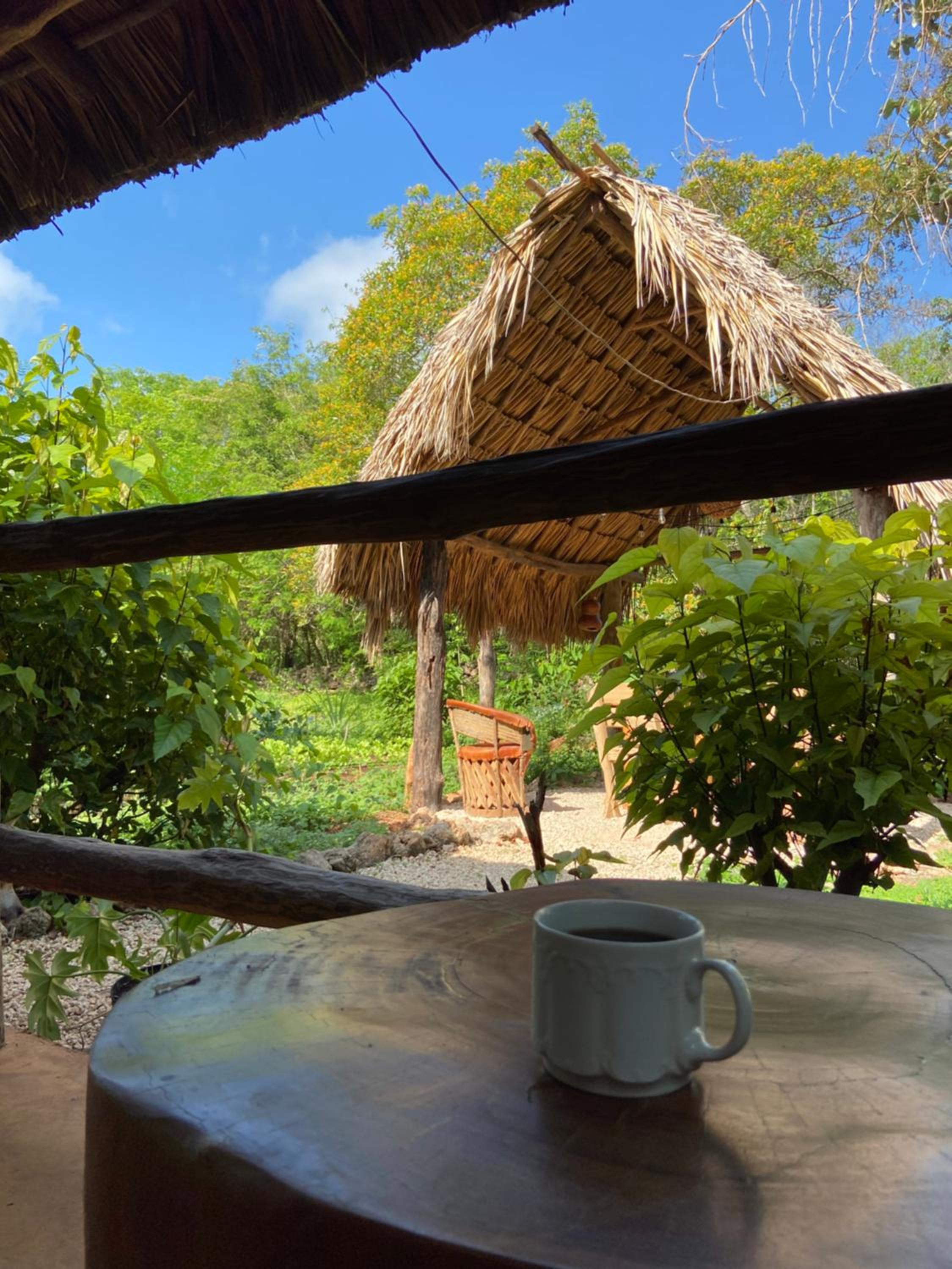 Encantadora Villa Maya tradicional en Rancho Agroecologico view 5