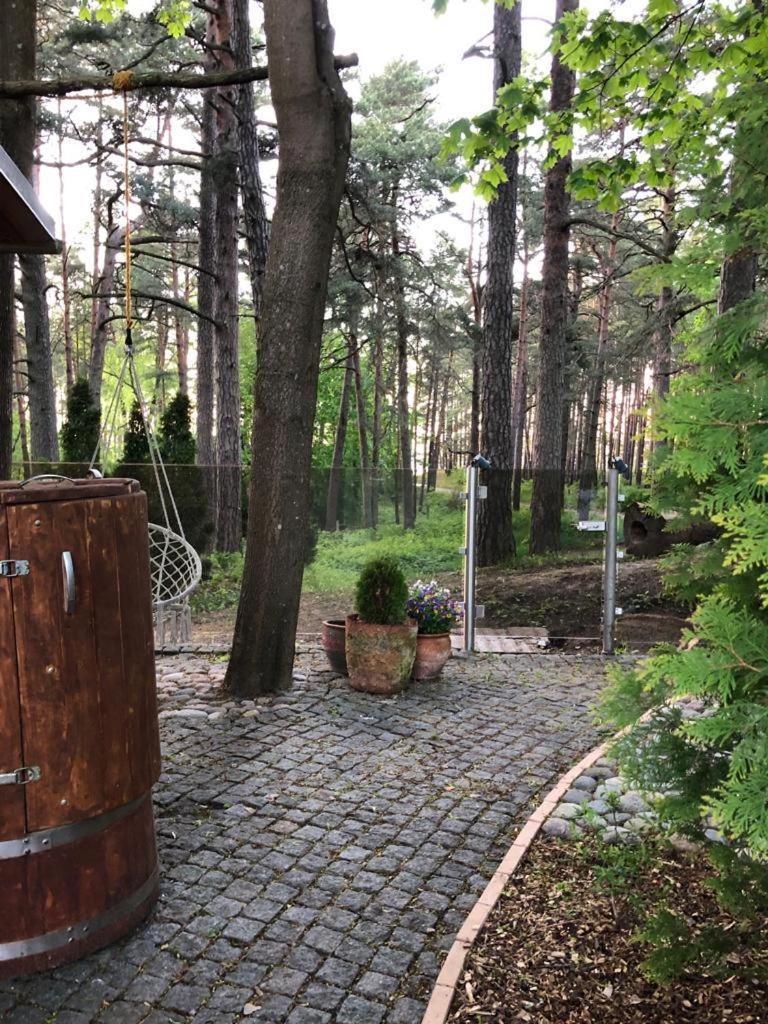 Photo 47