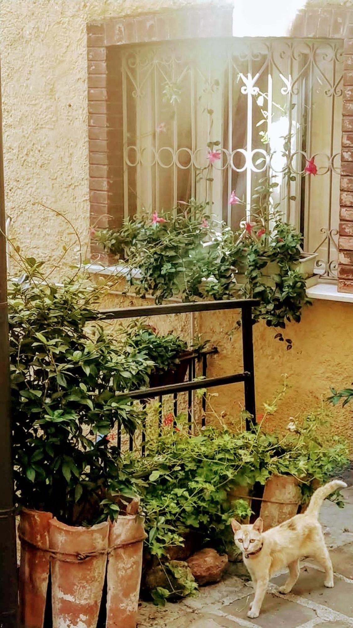 CASA GAIA view 3