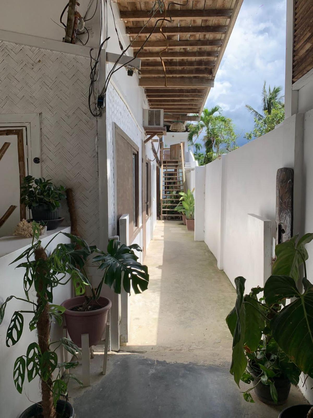 Tribal Xperience Guesthouse