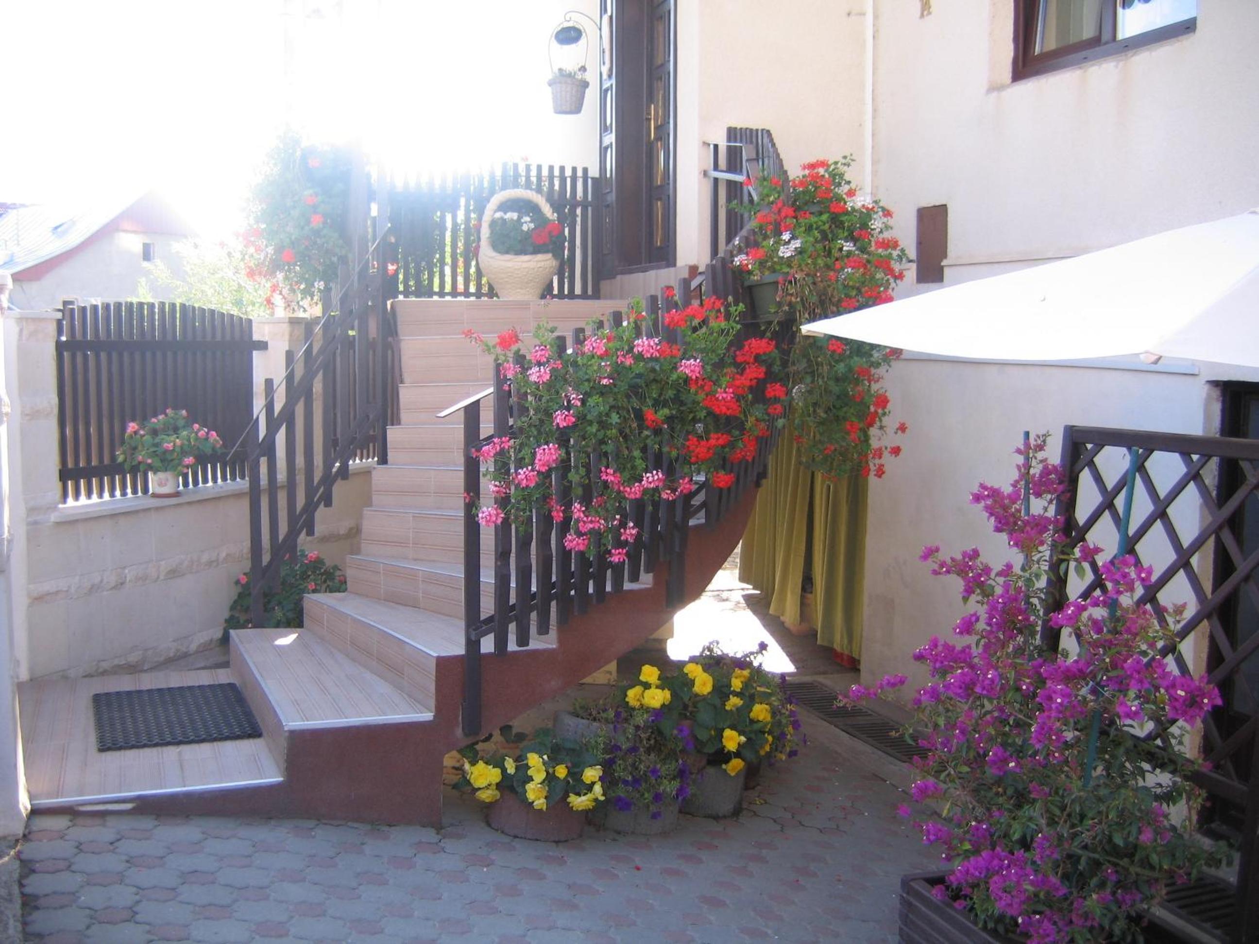Photo 49