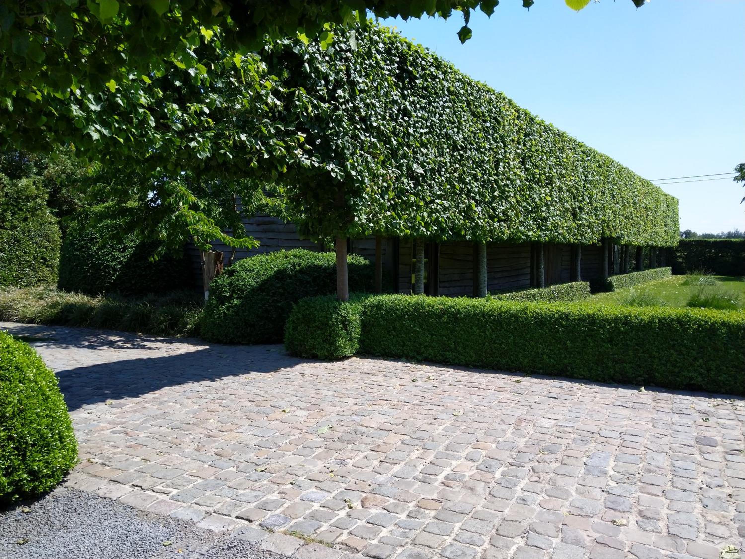 B&B De Hulst