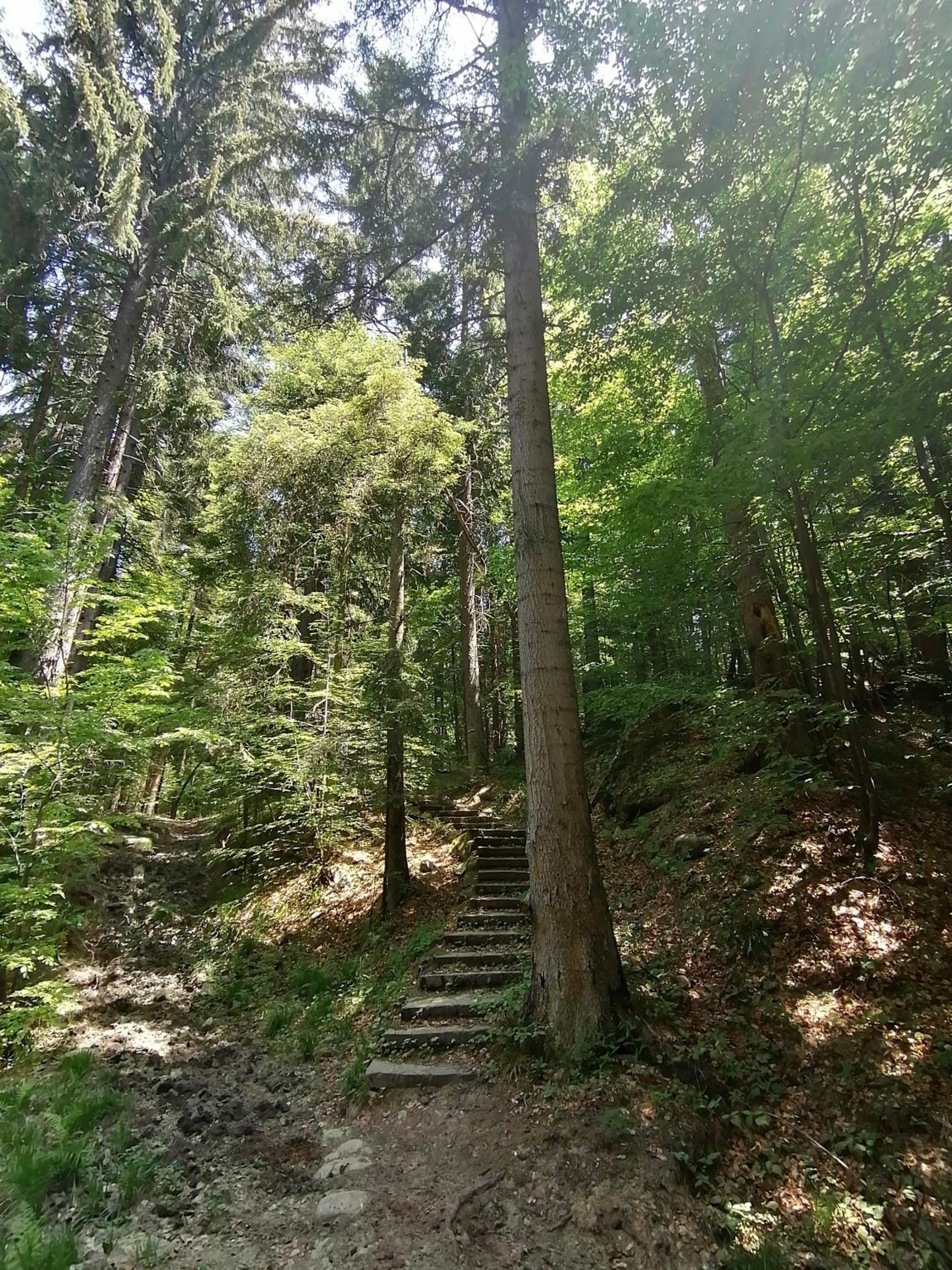 Photo 43