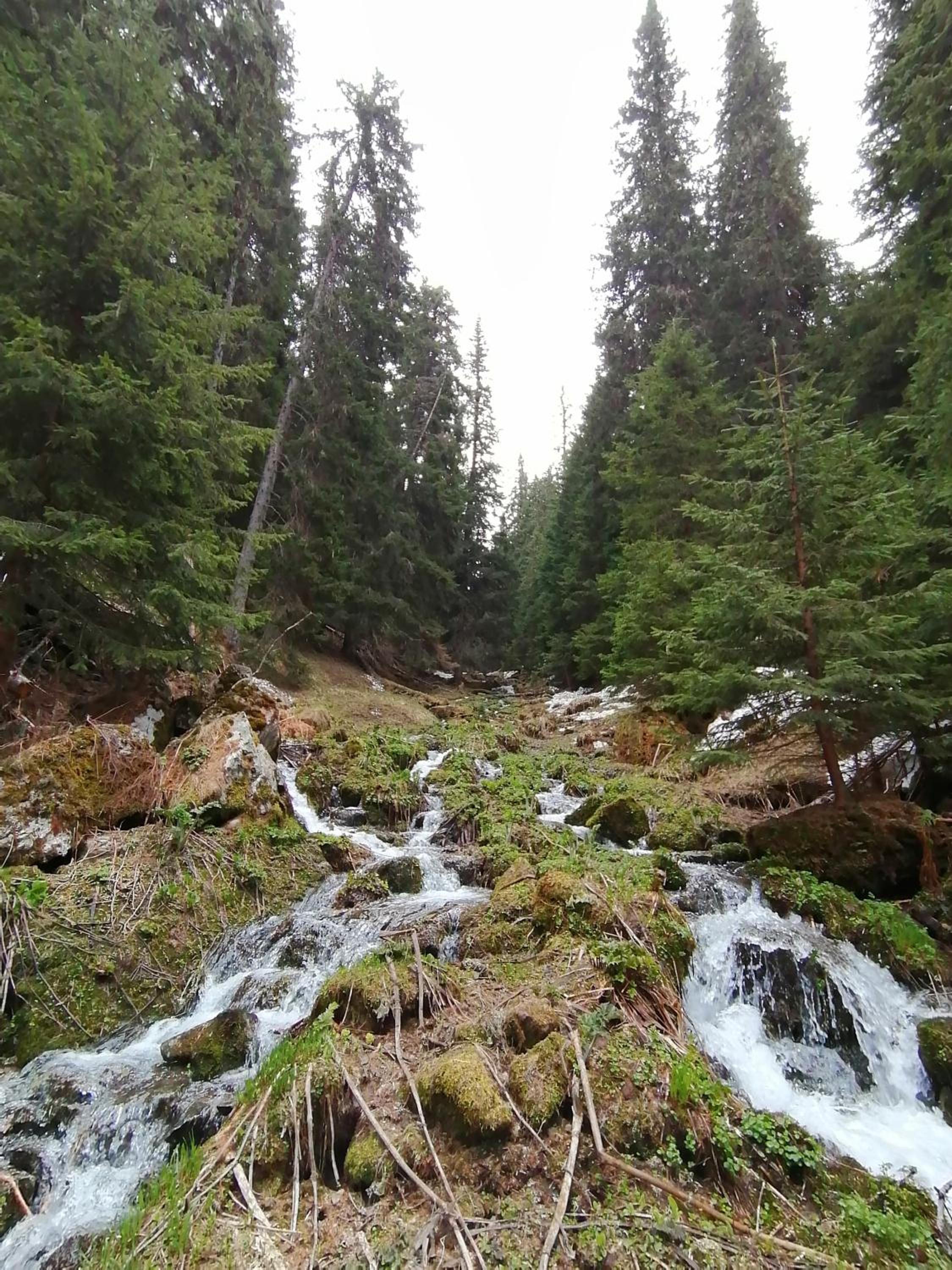 Photo 45