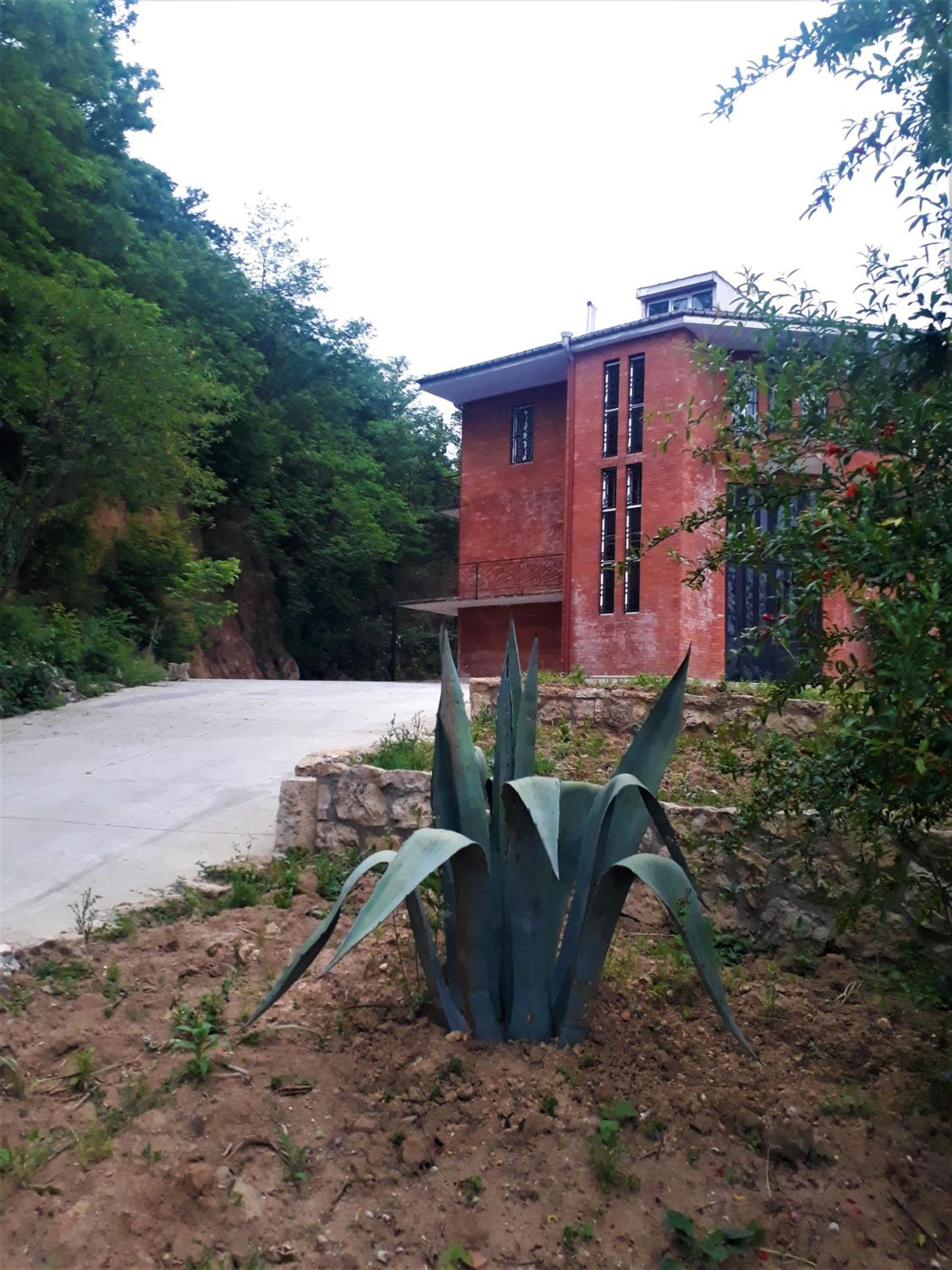 Photo 10