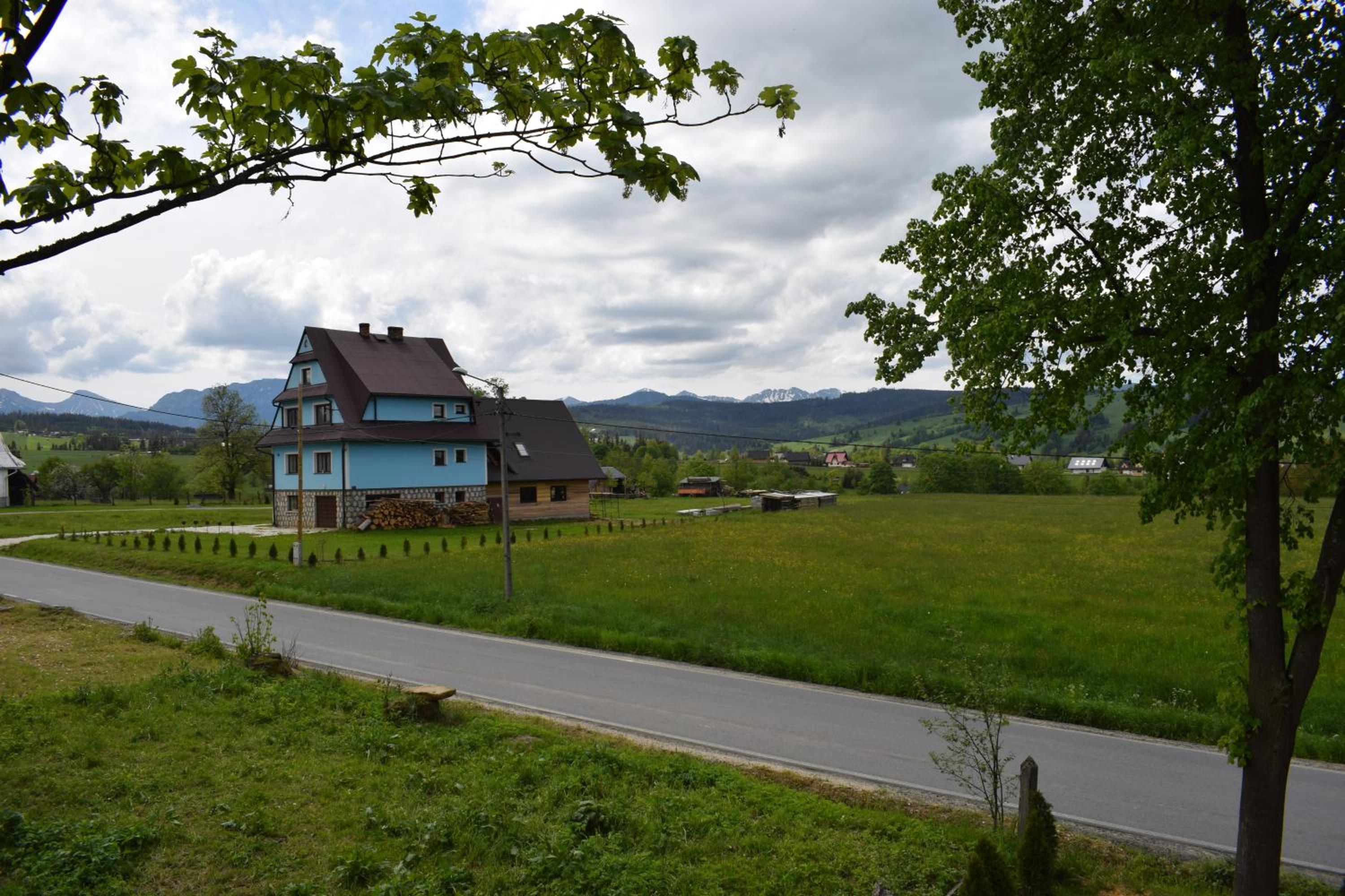 Photo 24