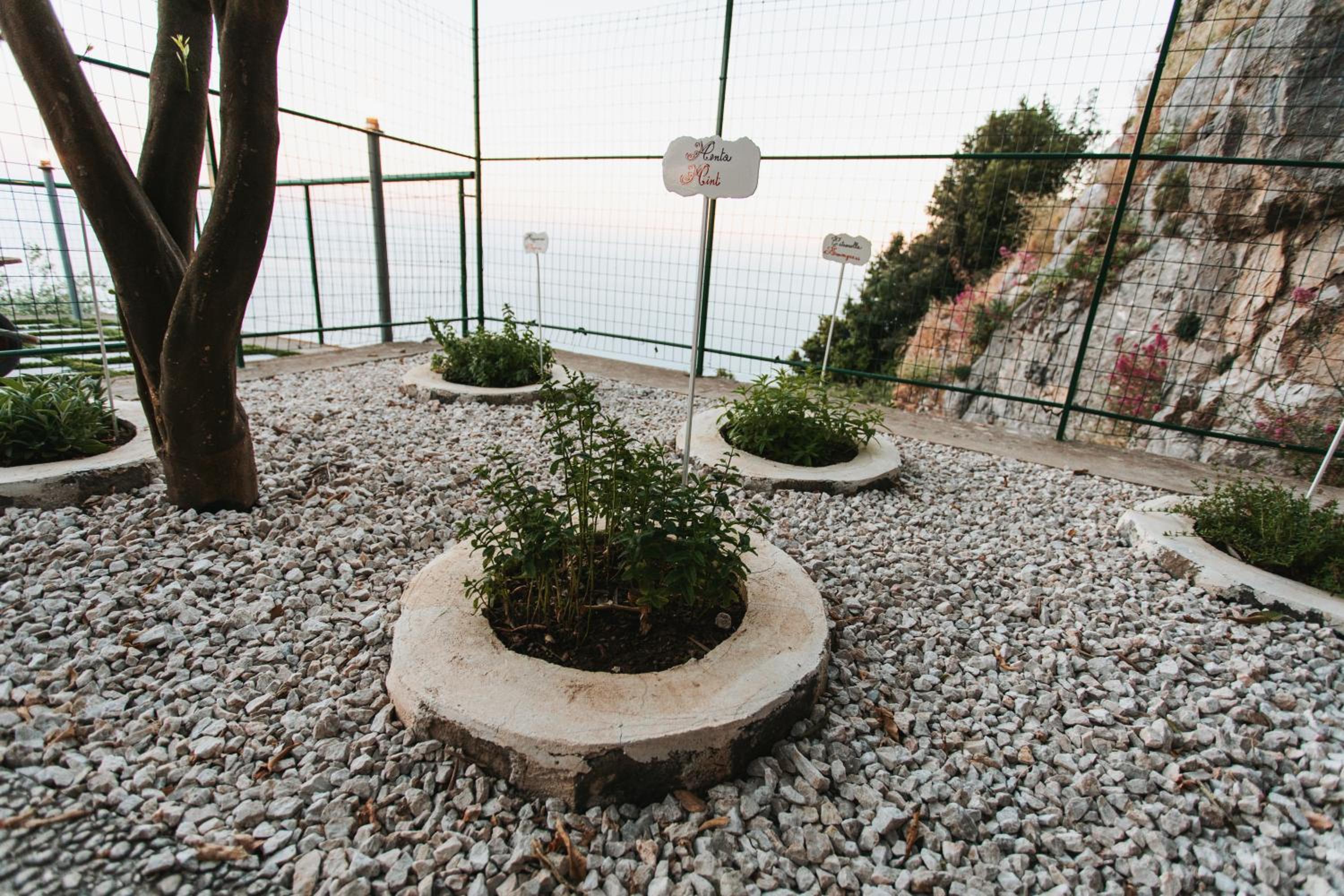 Apartments PARADISE GARDEN Holiday House