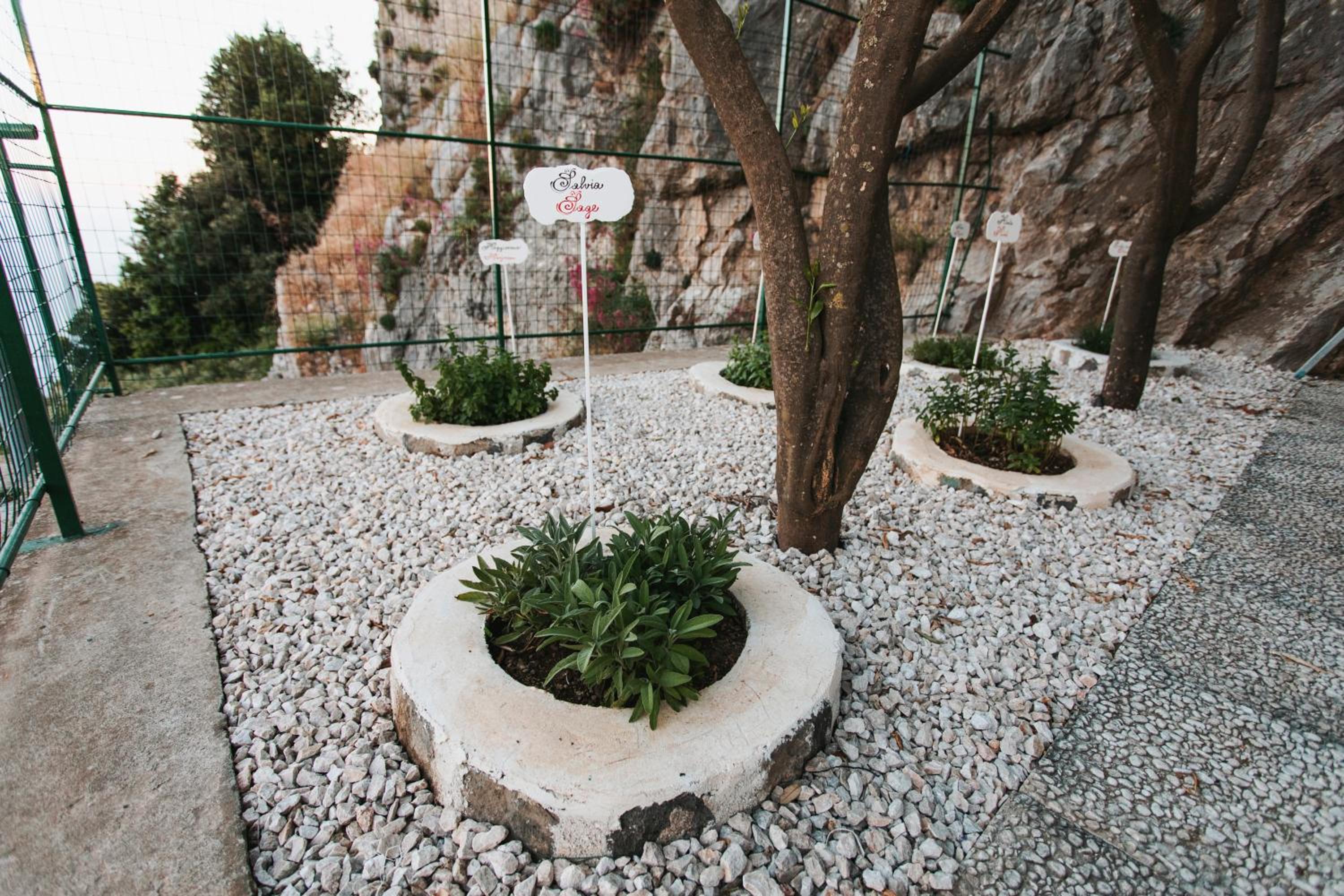 Apartments PARADISE GARDEN Holiday House