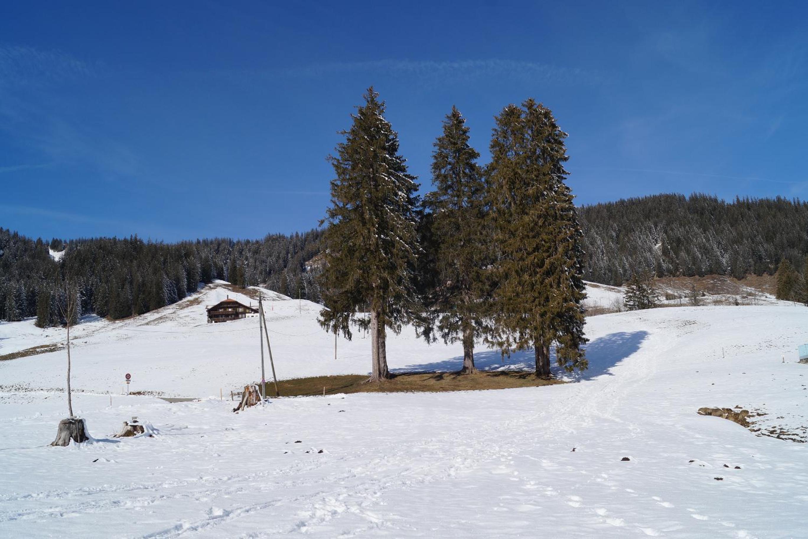 Chalet Alte Post