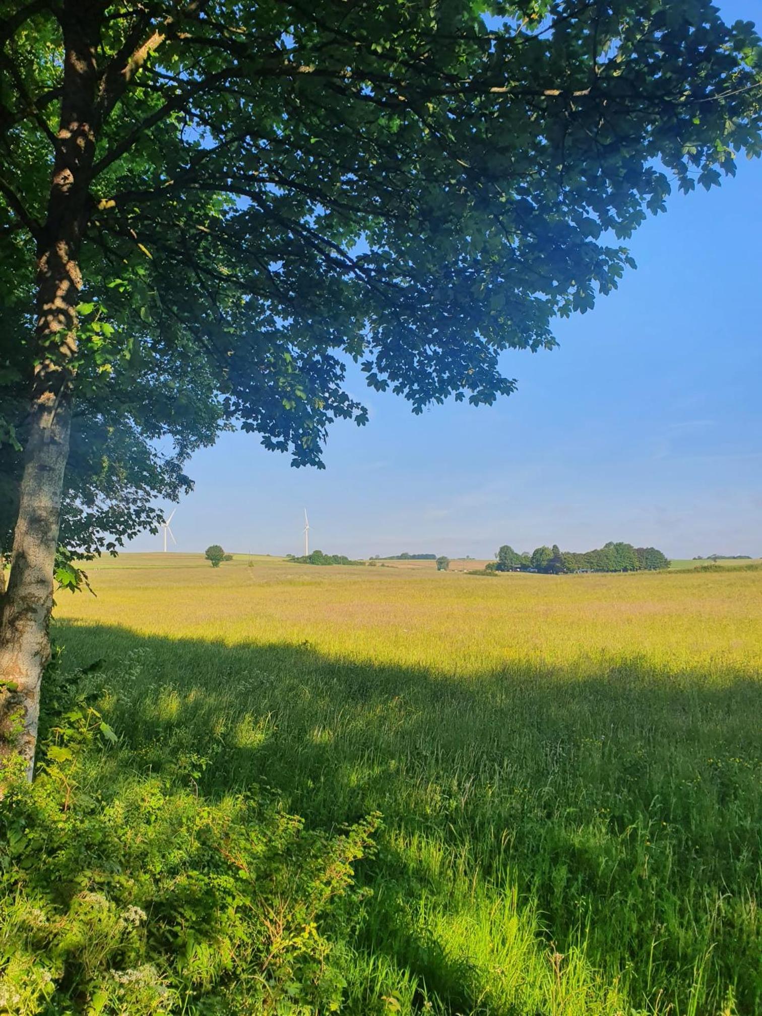 Schöne Aussicht