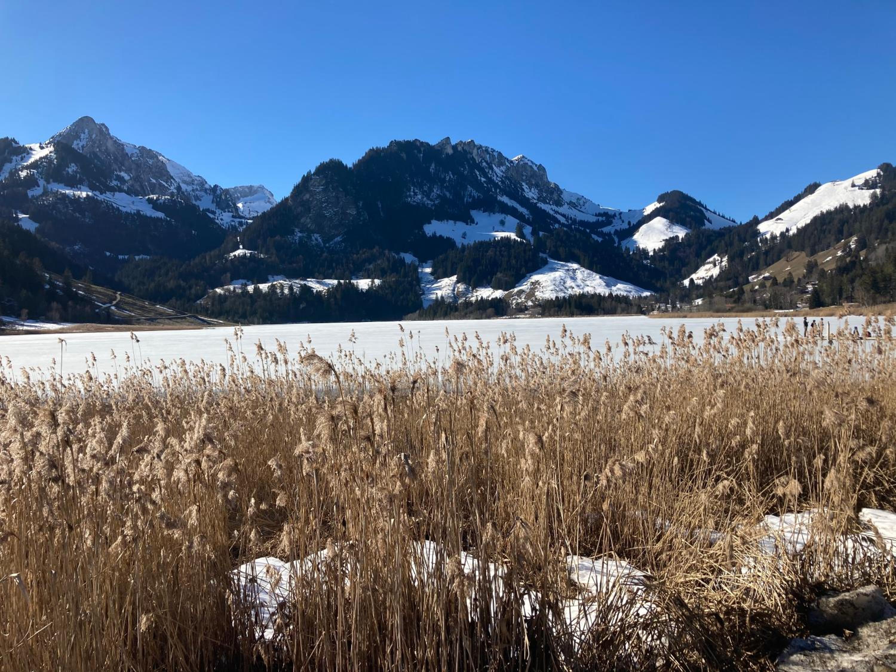 Chalet Alte Post