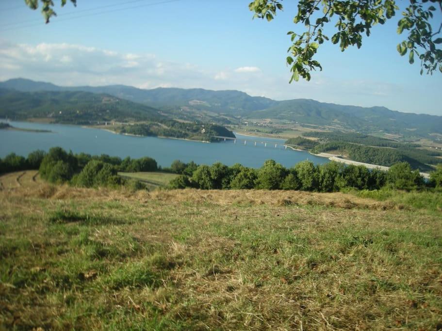 Affittacamere La Casa di Alma view 5