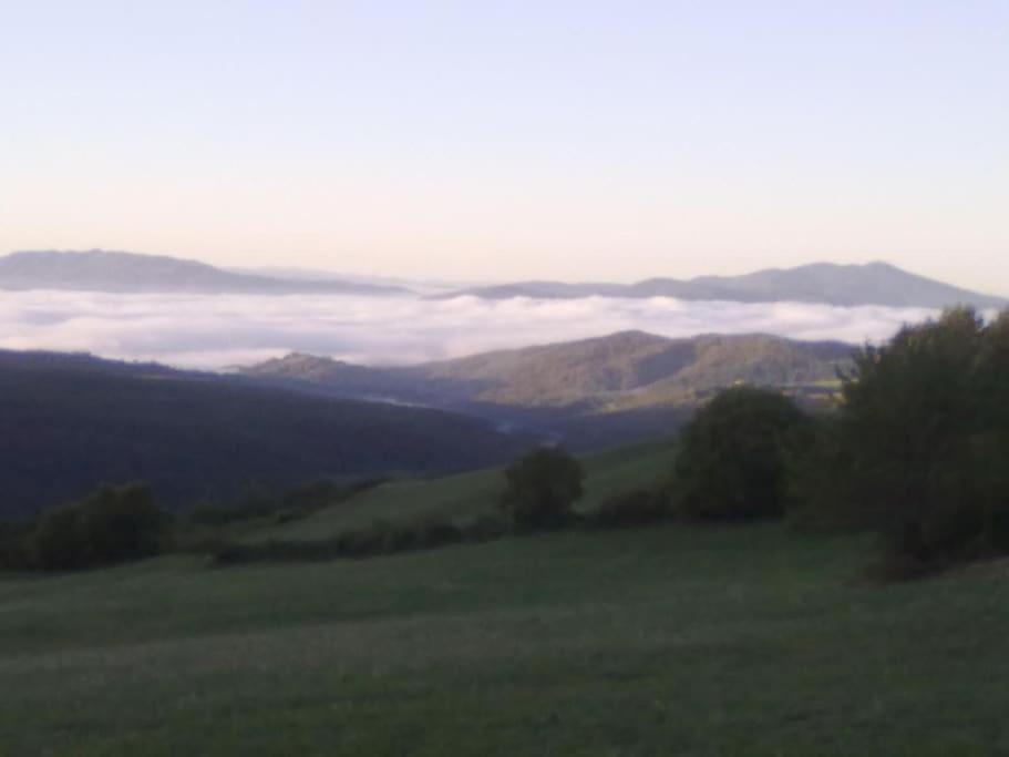 Affittacamere La Casa di Alma view 4