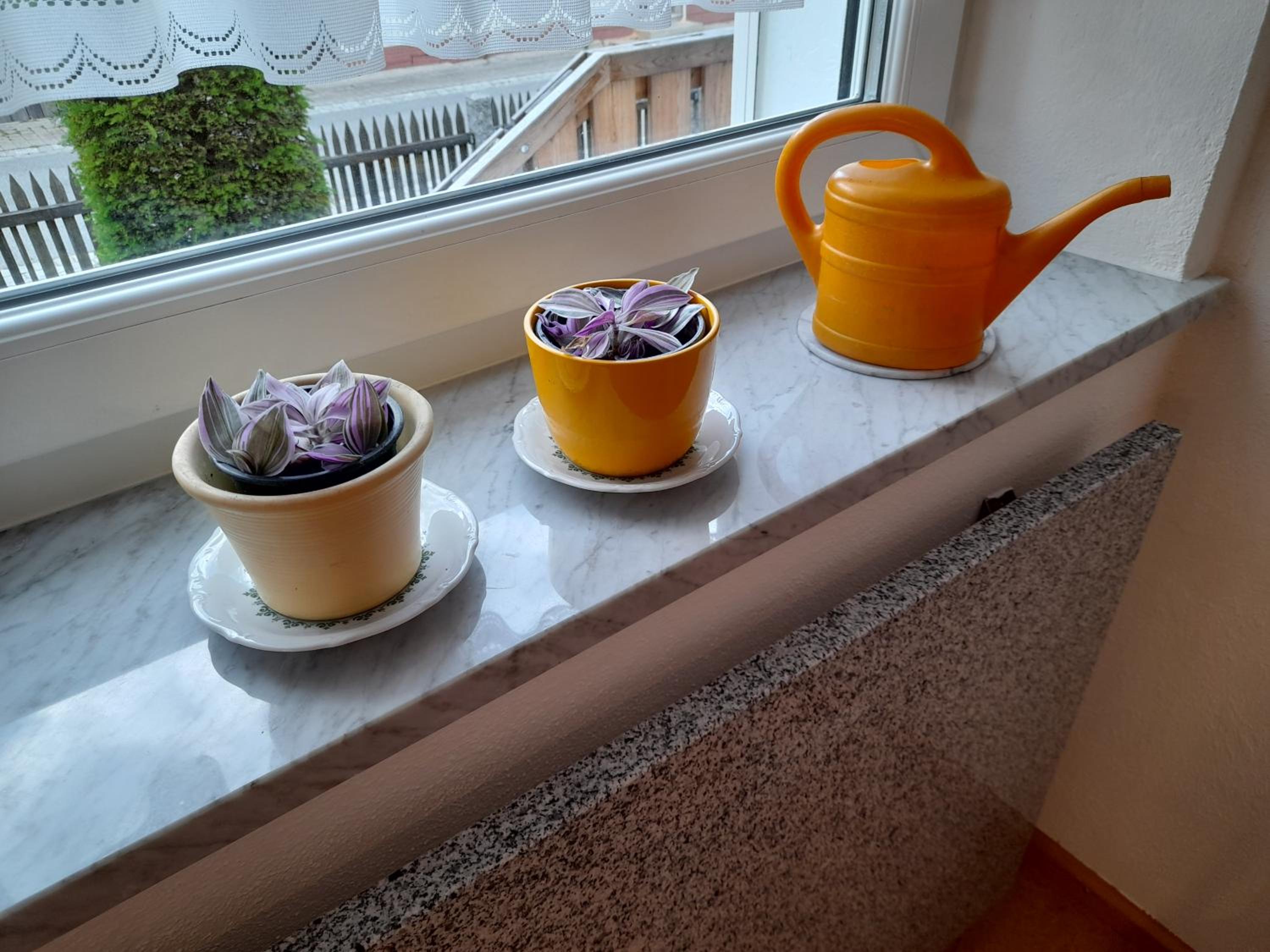 Ferienwohnung im Seidlerhof mit Terrasse