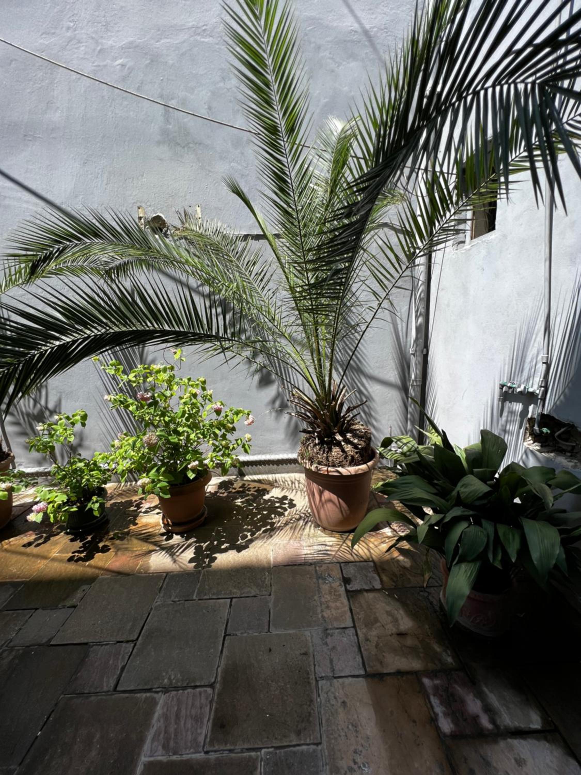 Grand Veranda Apartment