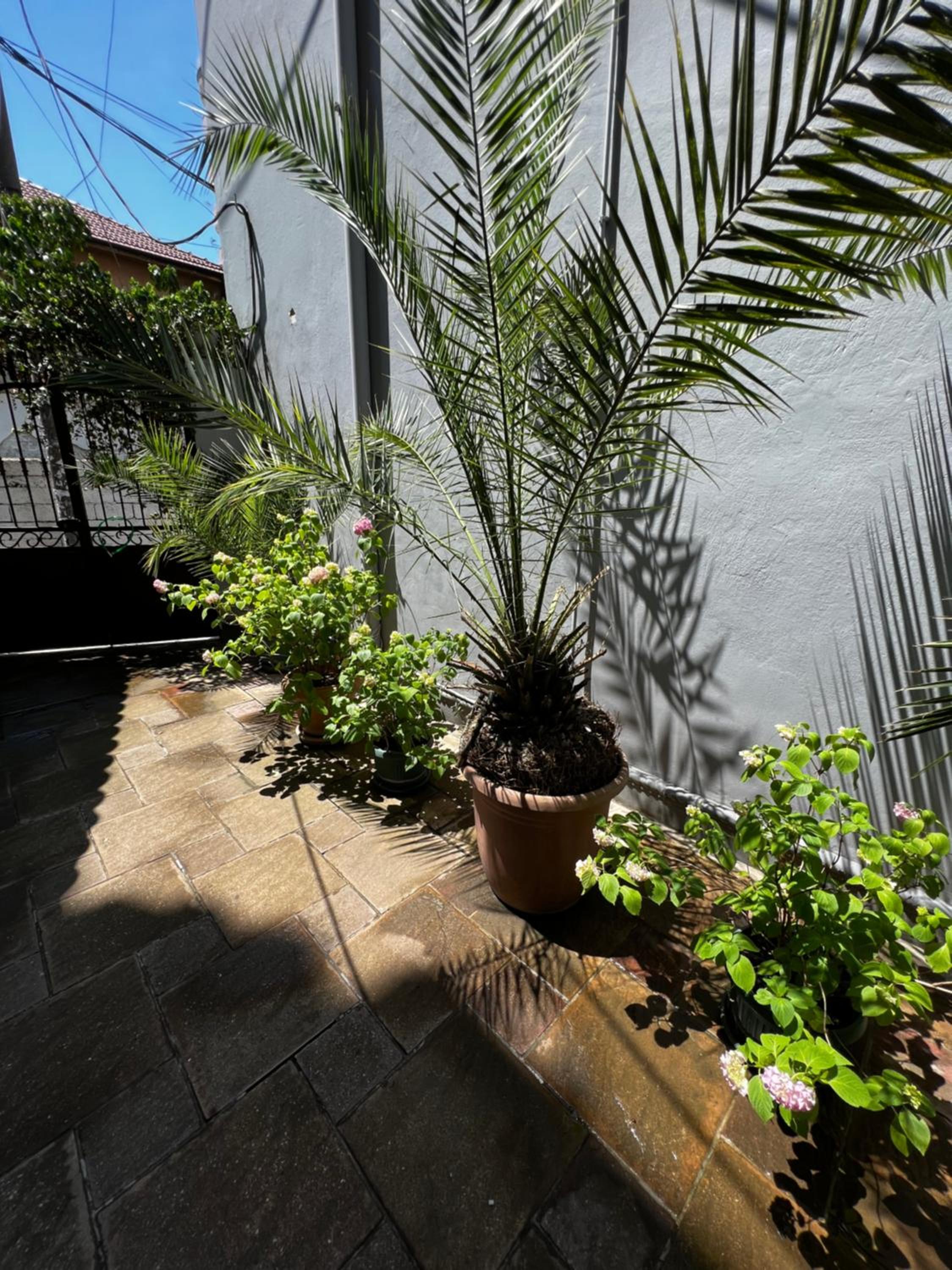 Grand Veranda Apartment
