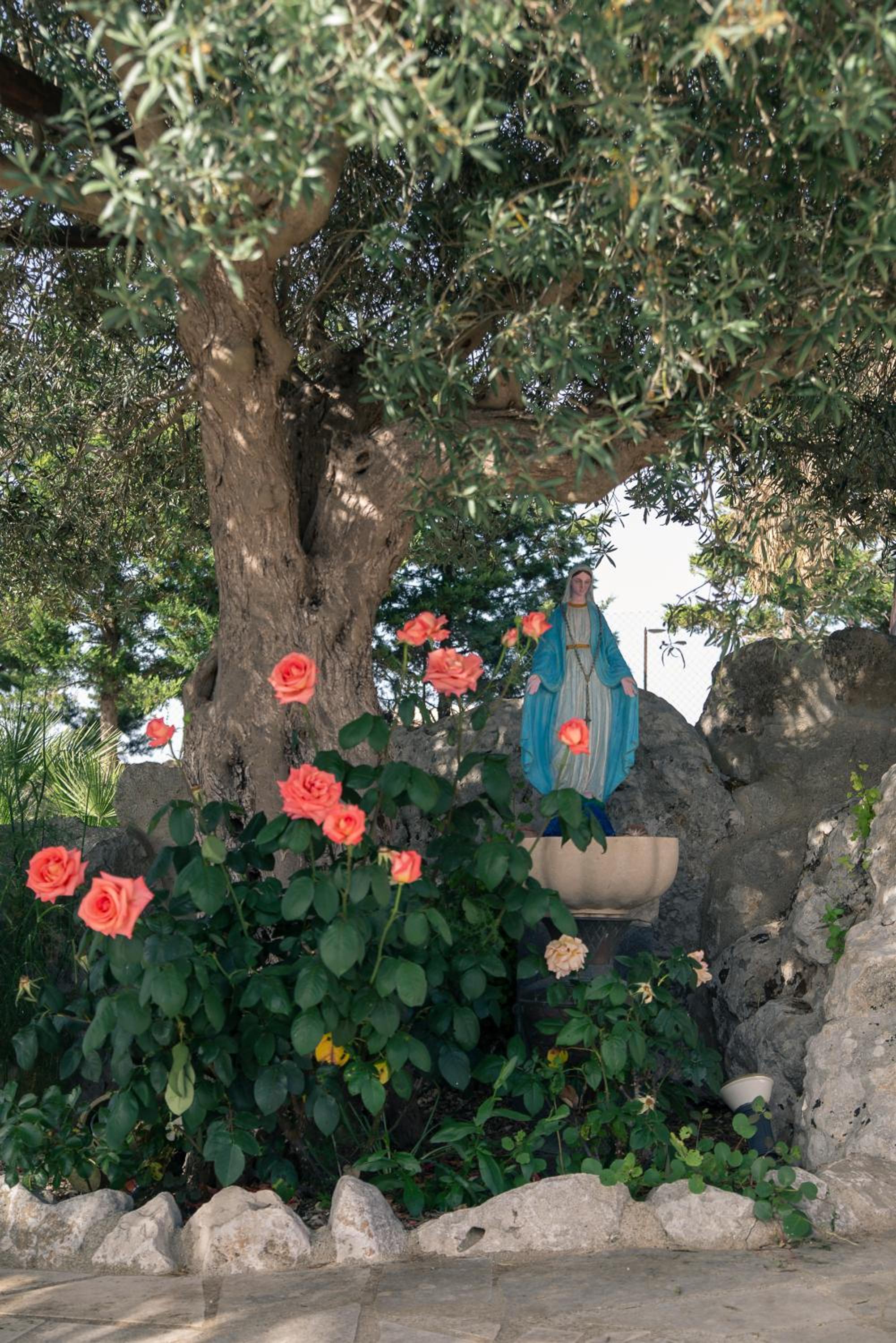 Photo 27