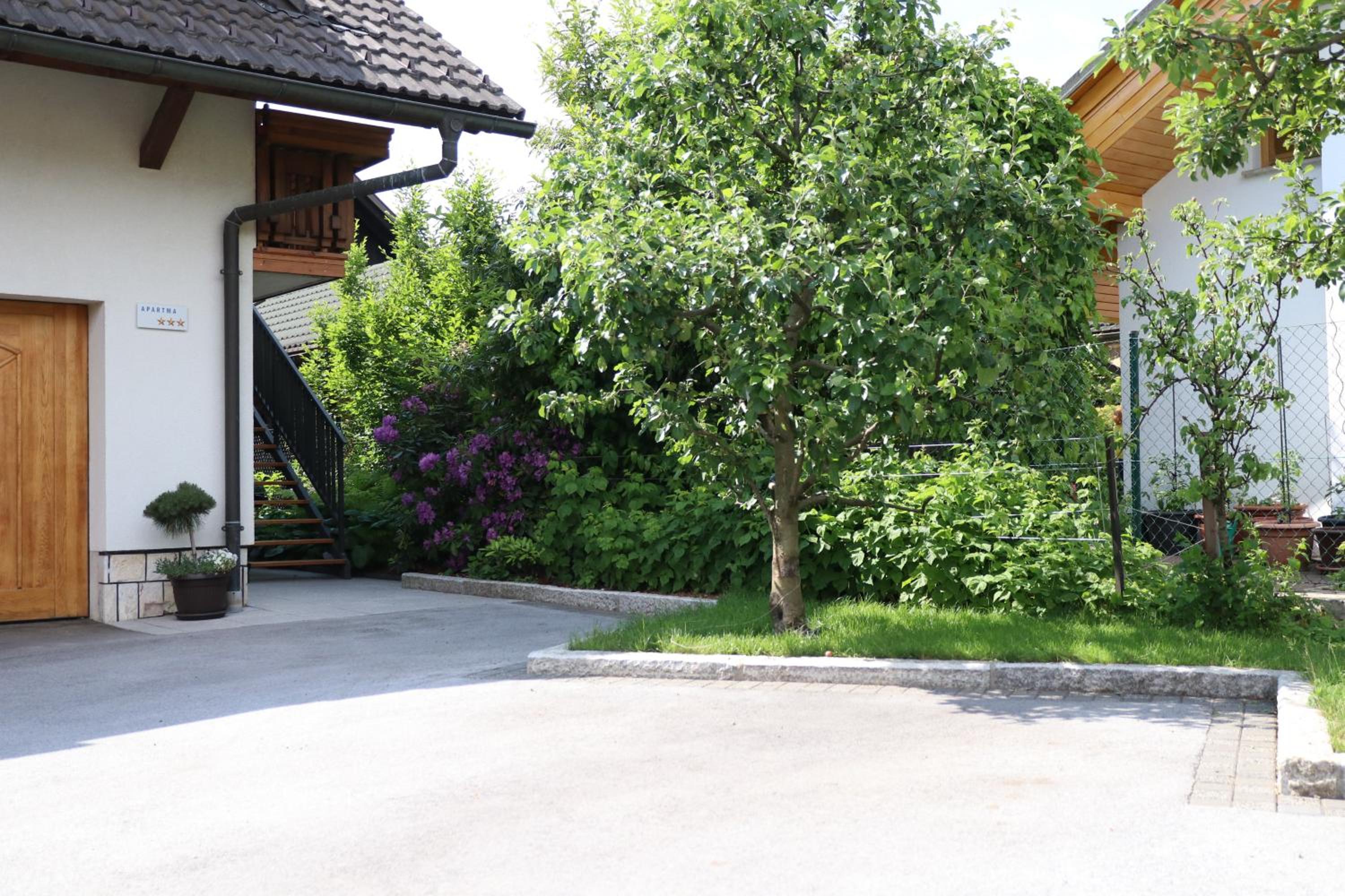 Photo 27