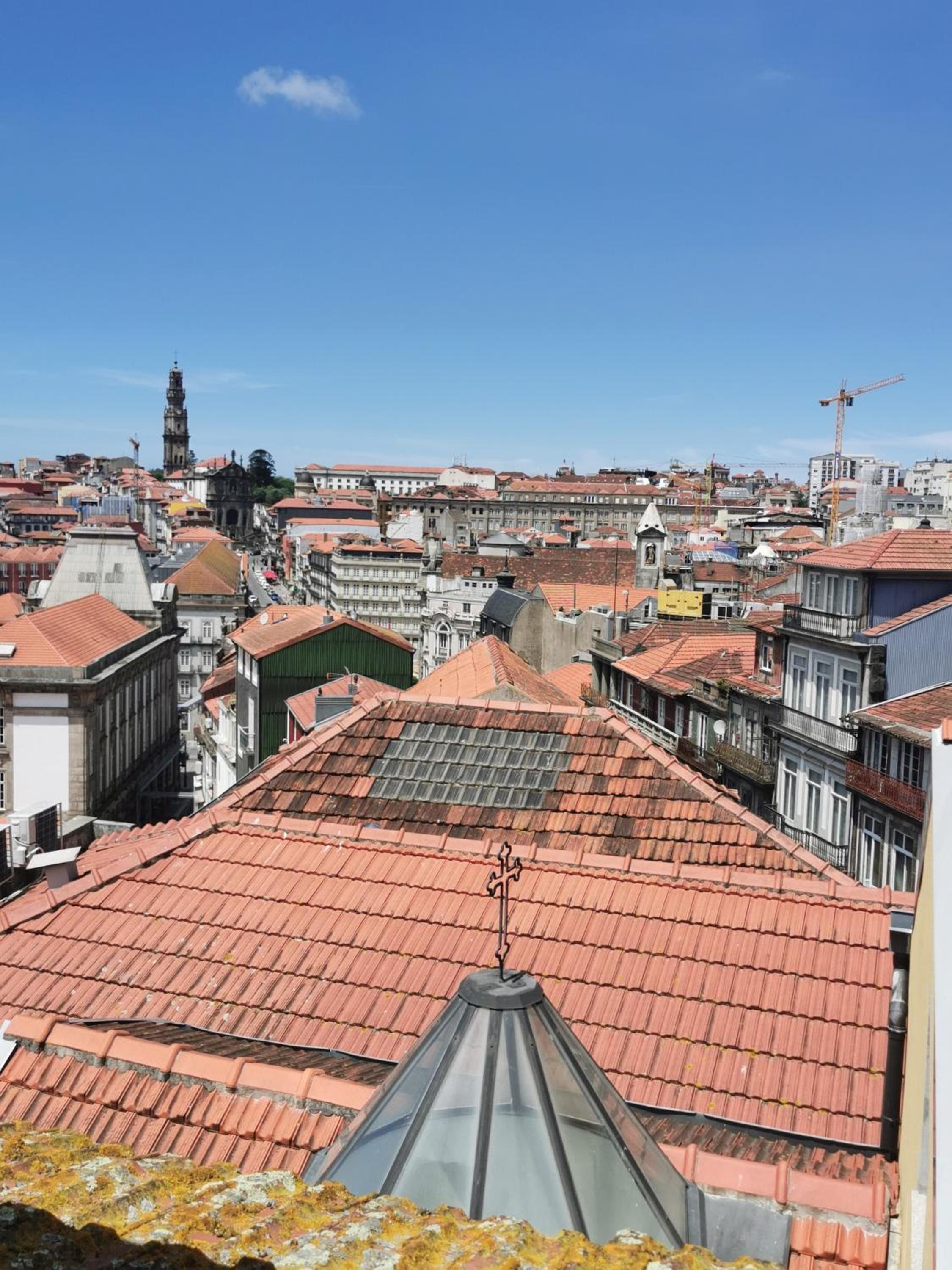 Finu Oporto Apartments view 4