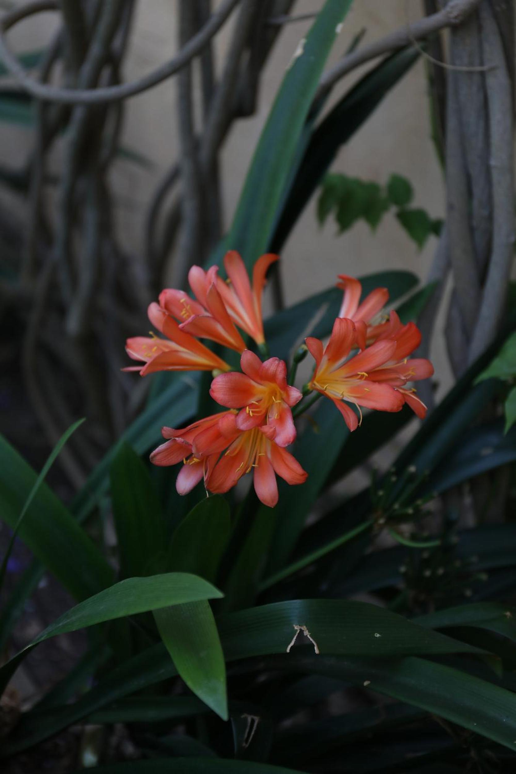 Mimi Calpe, photo 31