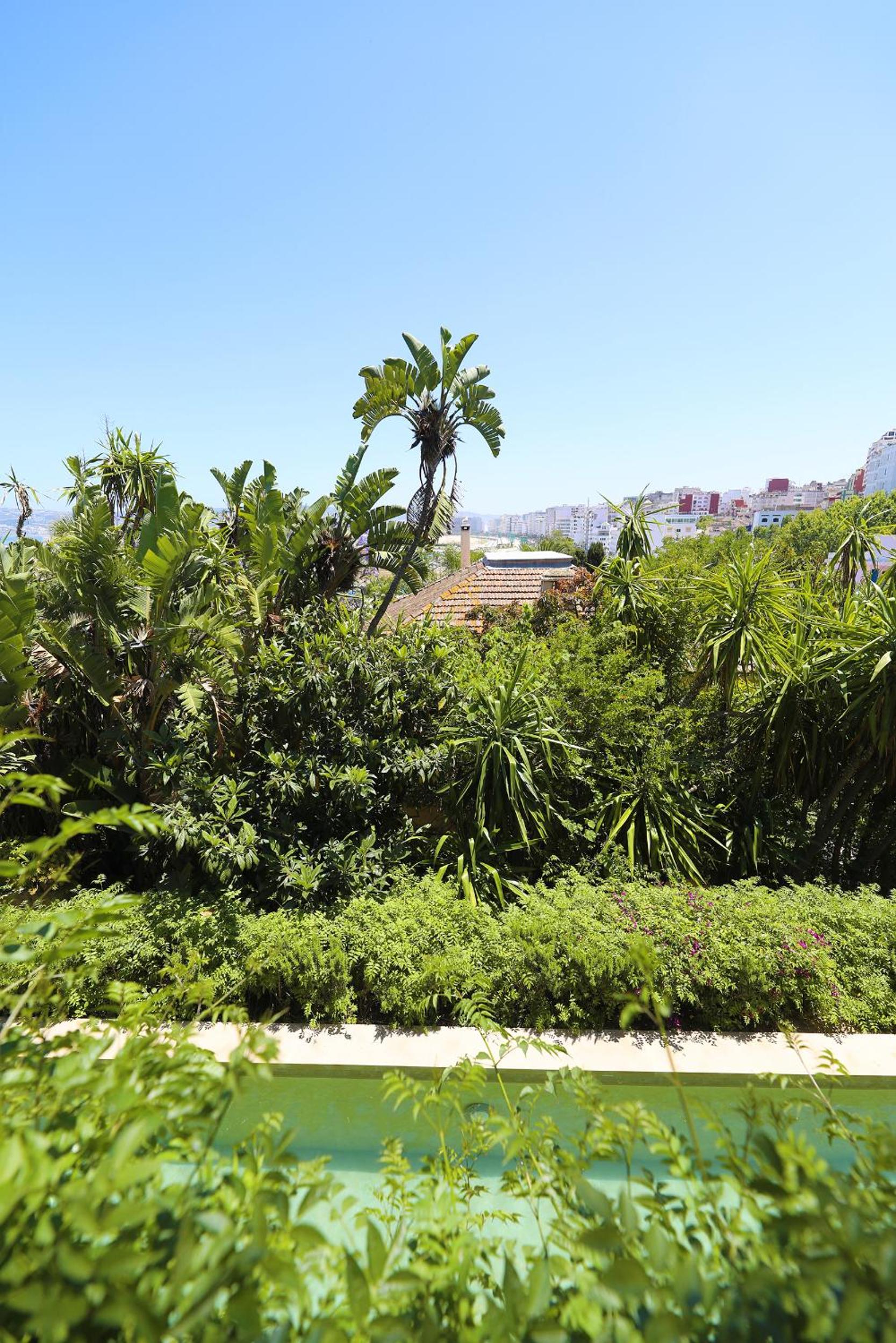 Mimi Calpe, photo 32