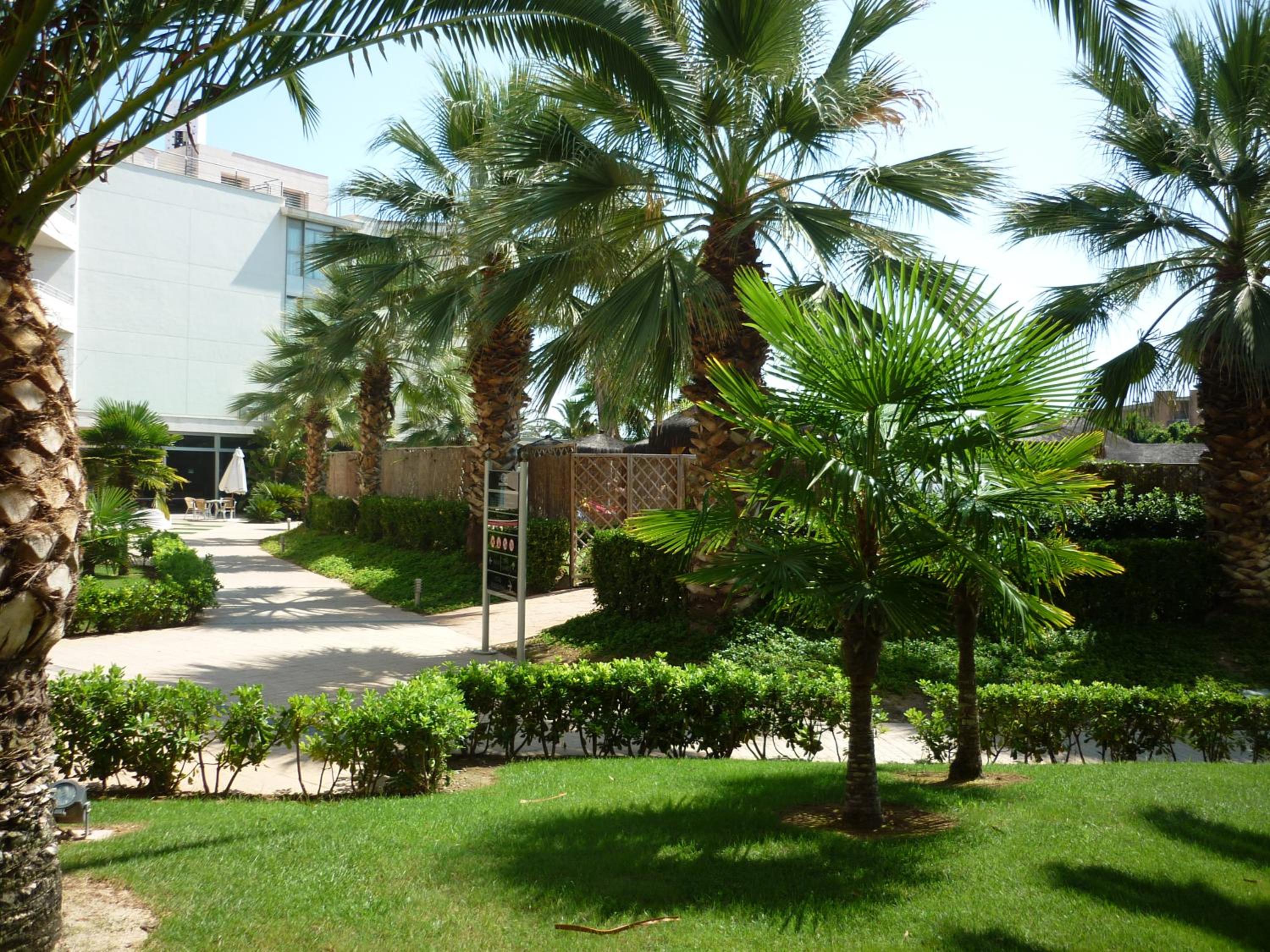 AGH Canet view 5