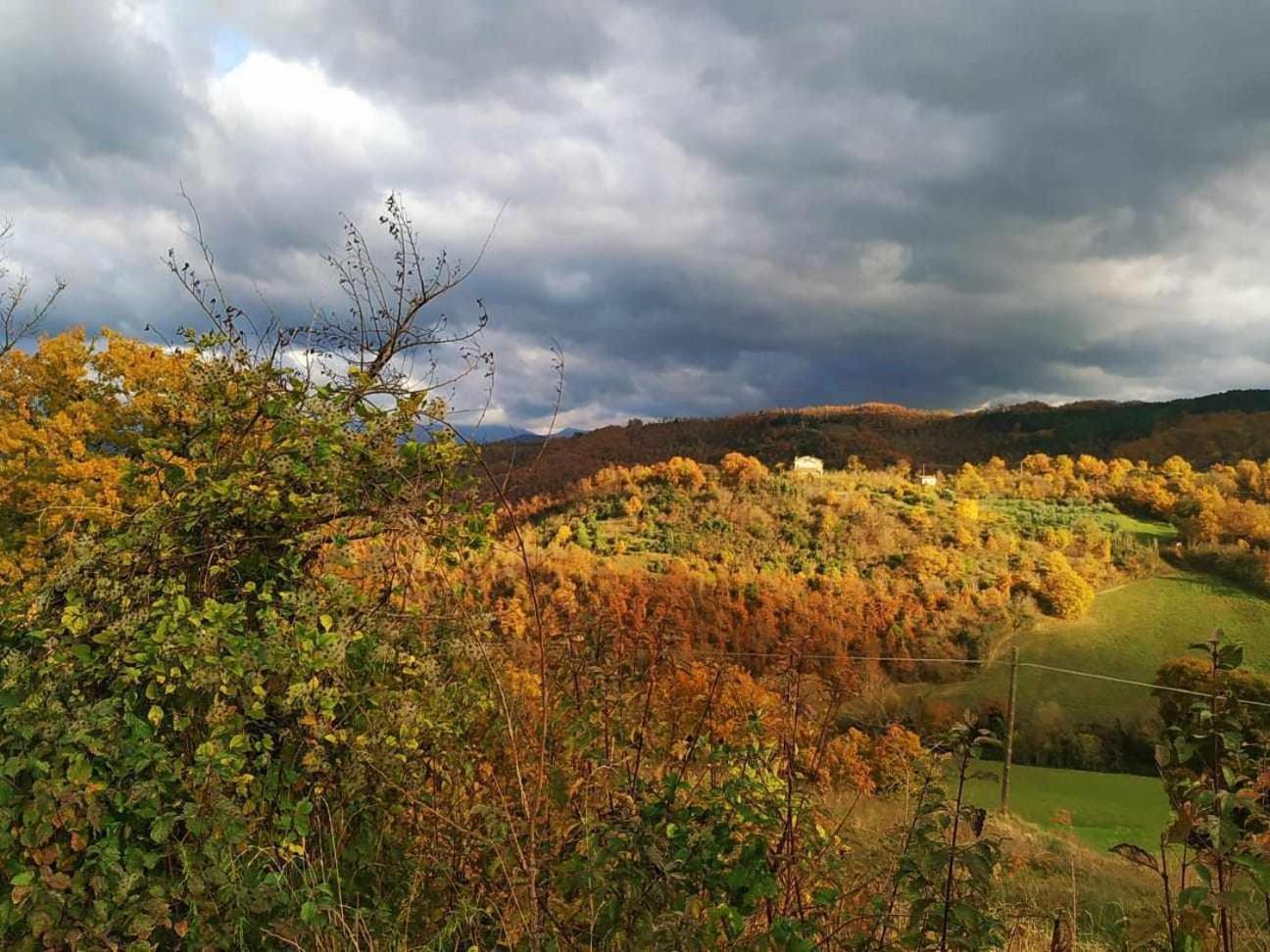 Agriturismo Montesalce