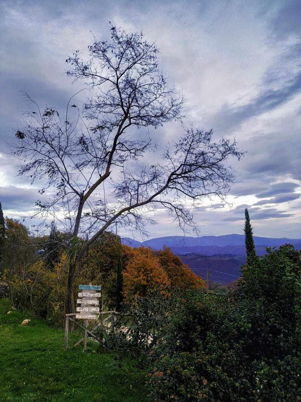 Agriturismo Montesalce