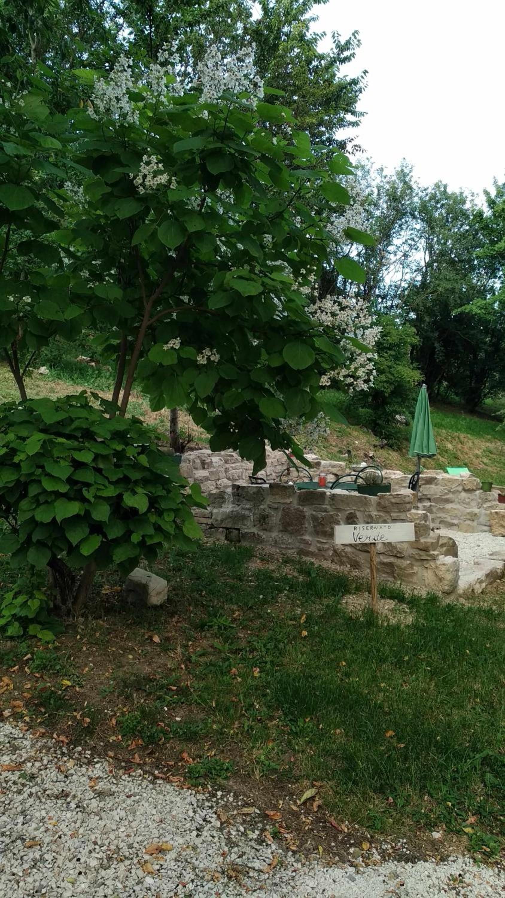 Agriturismo Montesalce