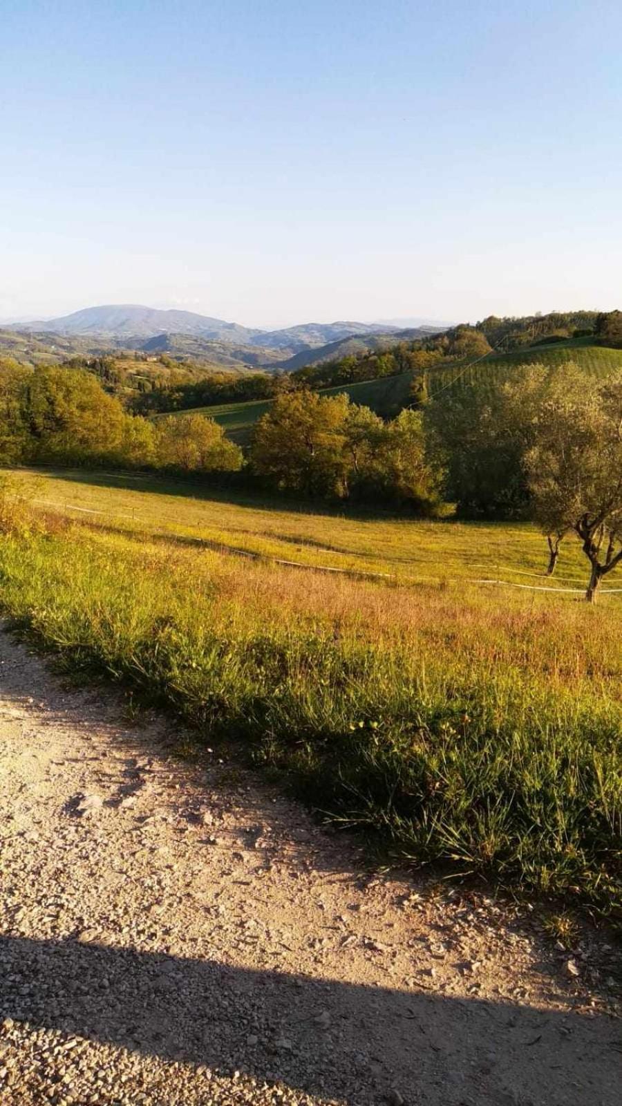 Agriturismo Montesalce