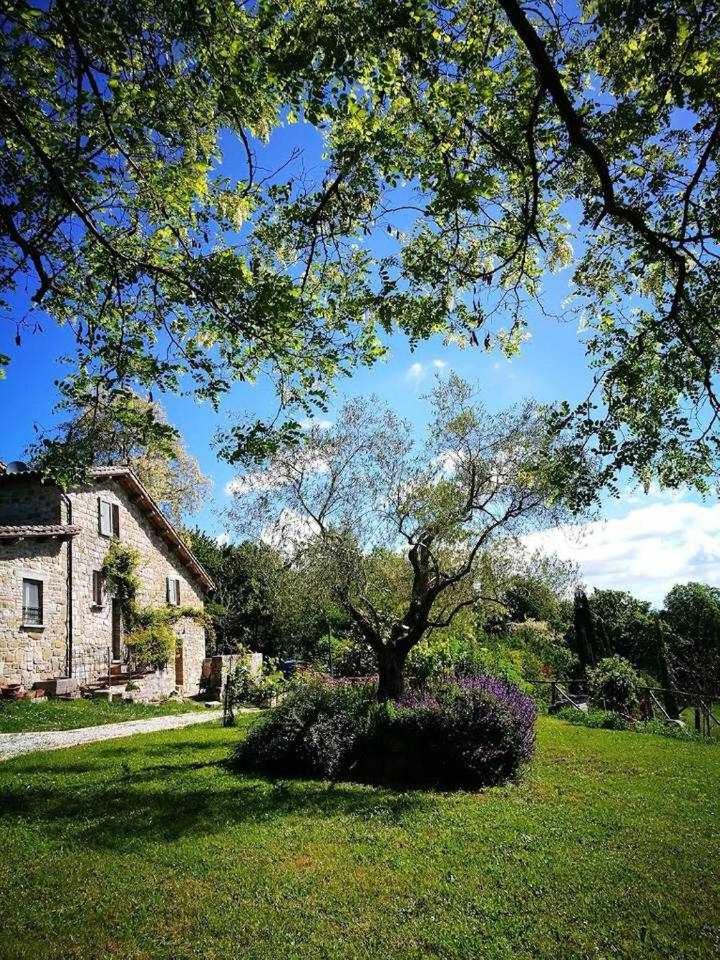 Agriturismo Montesalce