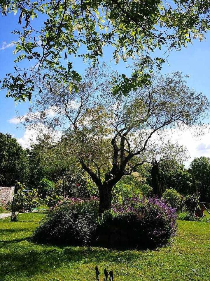 Agriturismo Montesalce
