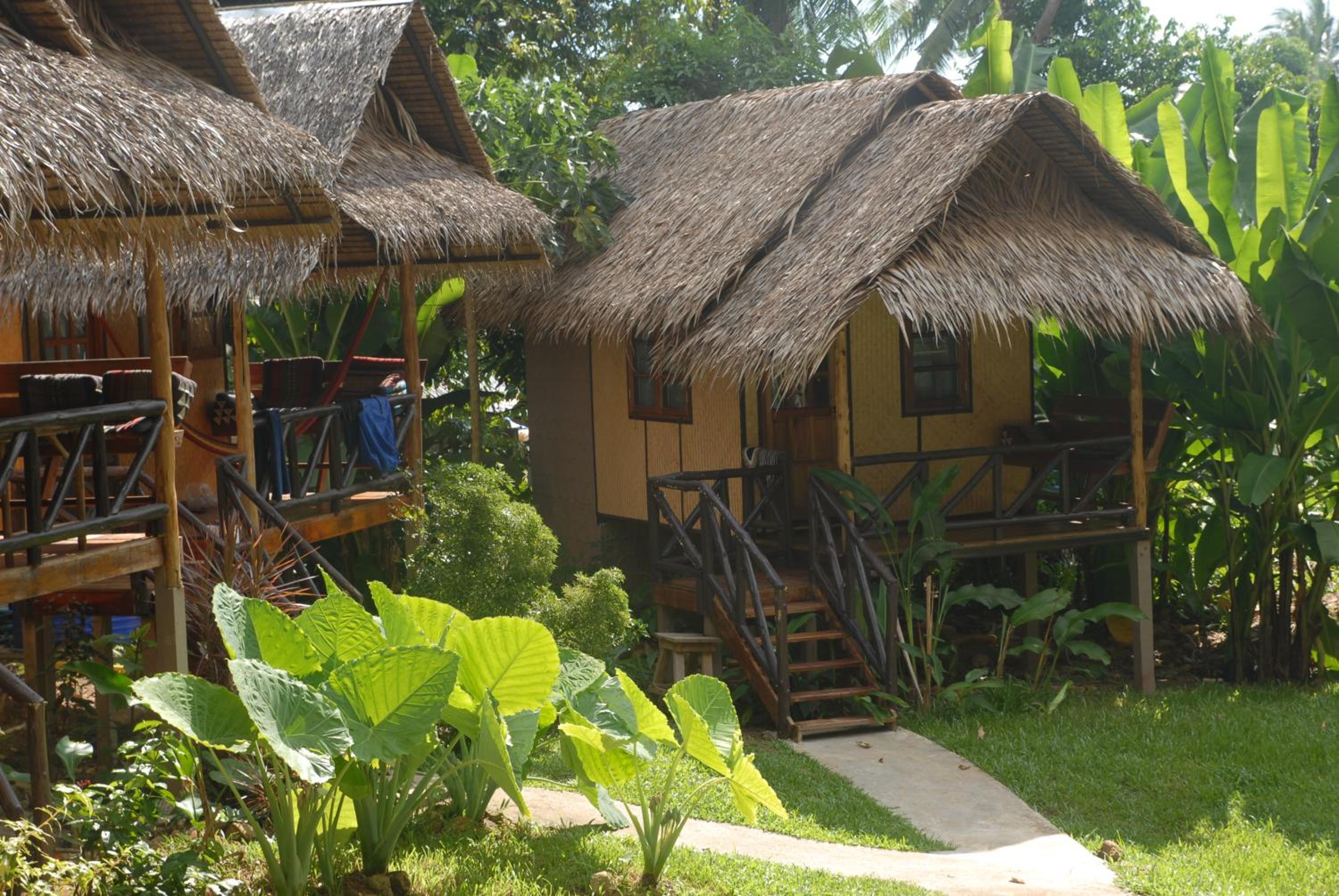 Jungle Garden